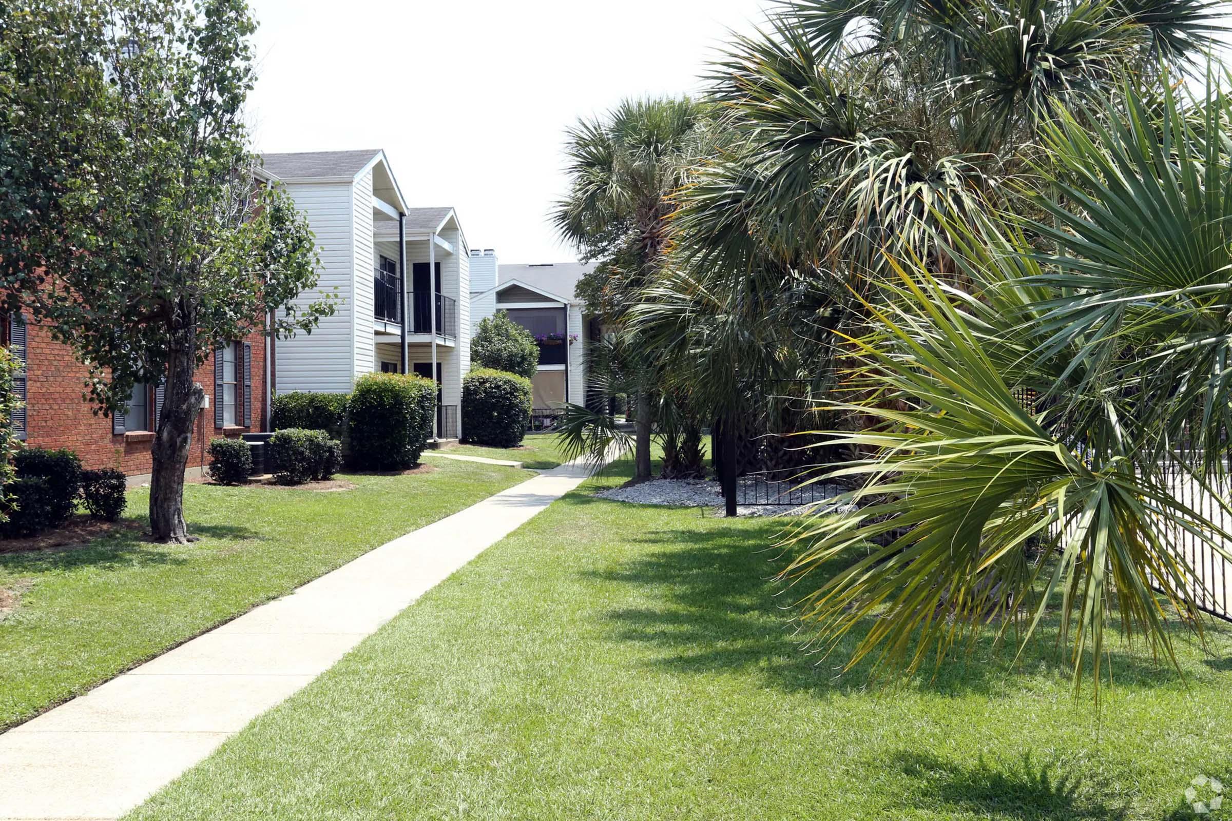 A peaceful residential walkway lined with well-manicured grass, palm trees, and neatly arranged shrubs. On either side, there are two-story apartment buildings, with some featuring balconies. The scene is bright and sunny, suggesting a warm, inviting atmosphere in a suburban setting.