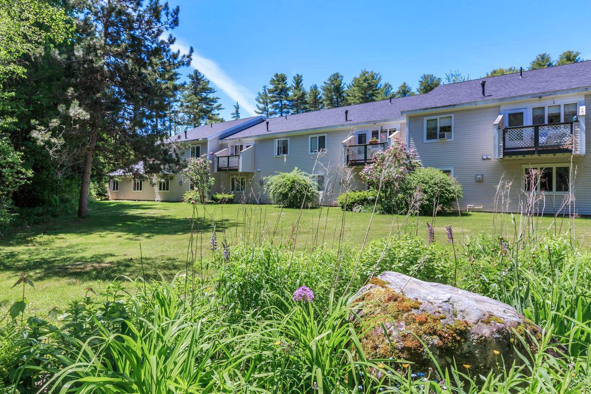 a garden in front of a house