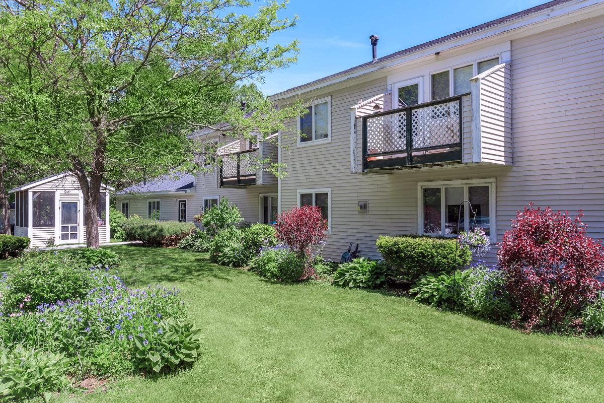 a close up of a flower garden in front of a house