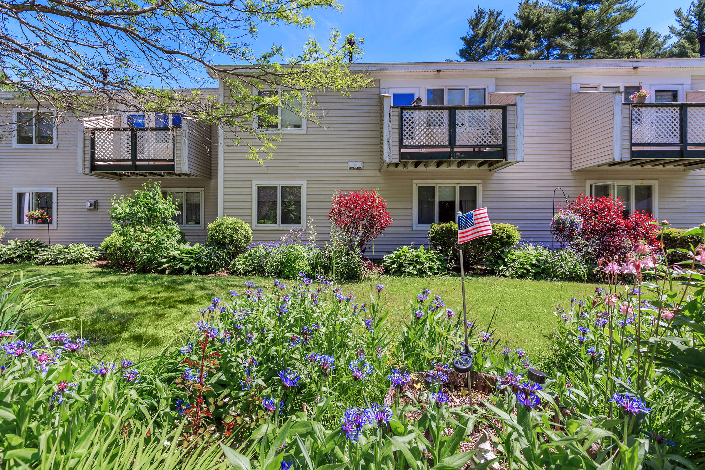 Belfast Birches Apartments in Belfast, ME