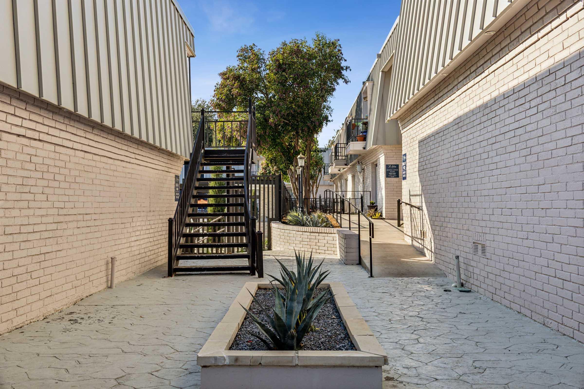 A narrow pathway between two light-colored buildings with a staircase on the left. There are potted plants along the walkway, including an agave plant in a rectangular planter. The scene is bathed in natural light with some greenery and blue sky visible in the background.
