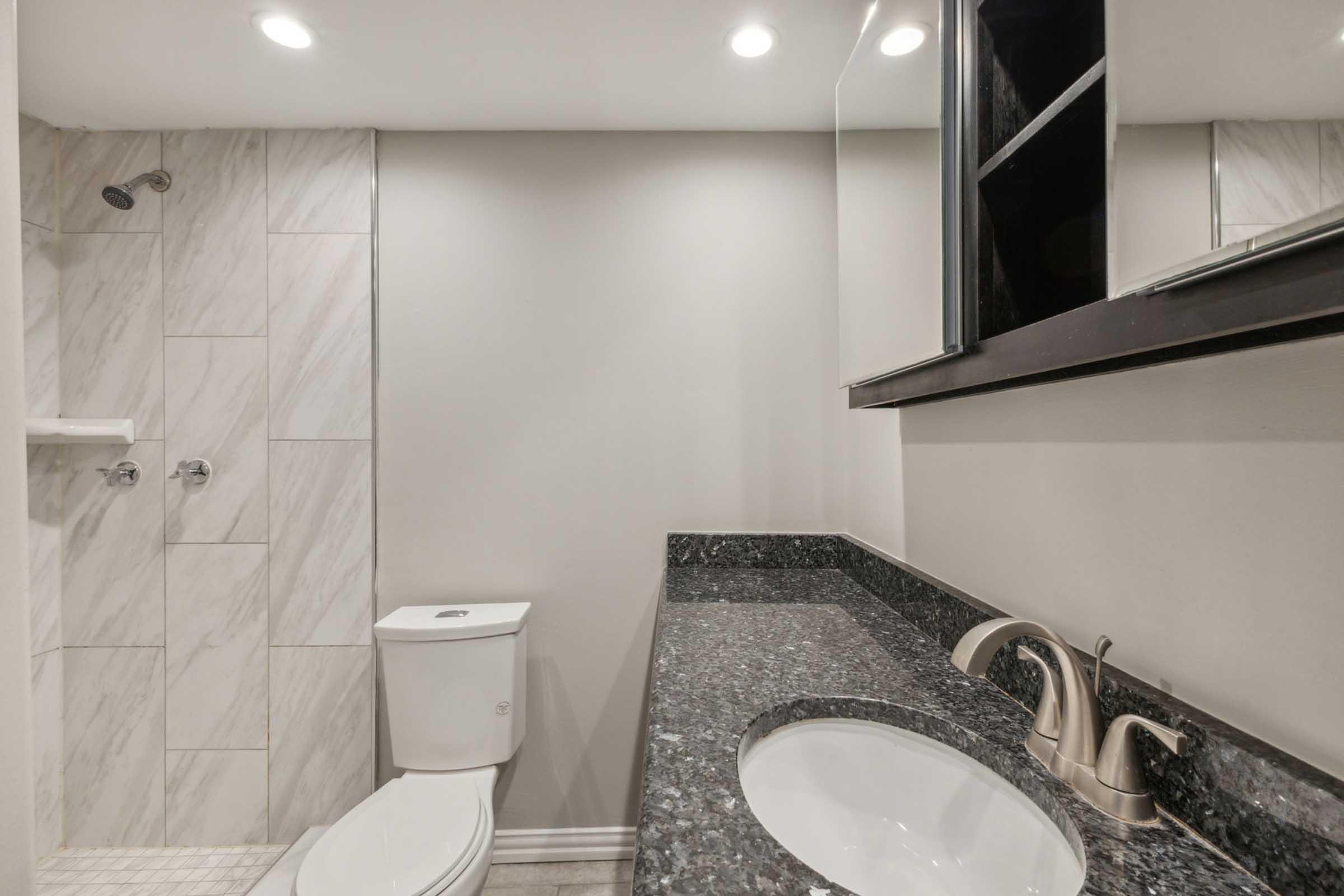 A modern bathroom featuring a white toilet, a marble-tiled shower with glass doors, a dark granite countertop with an under-mount sink, and a wall-mounted mirror above the sink. The walls are painted in a light color, and there are recessed lights illuminating the space.