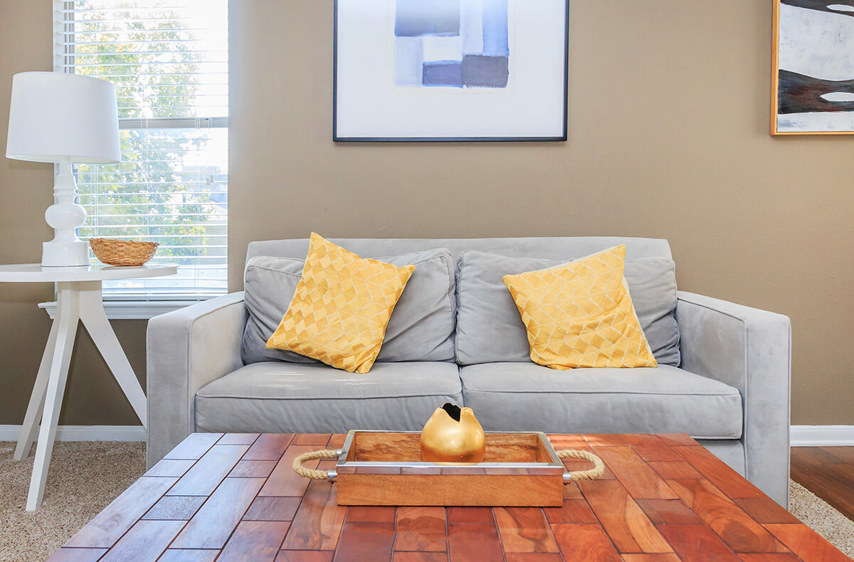 Apartment Features