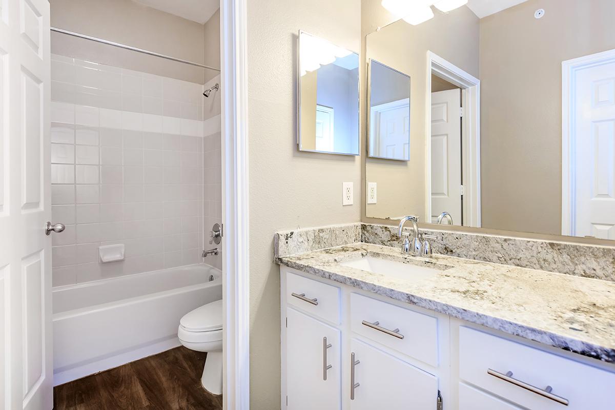 A modern bathroom featuring a bathtub with a shower, a toilet, and a double vanity with a granite countertop. The walls are painted in neutral tones, and there is a large mirror above the sink. Light from a ceiling fixture illuminates the space. A door to another room is visible in the background.