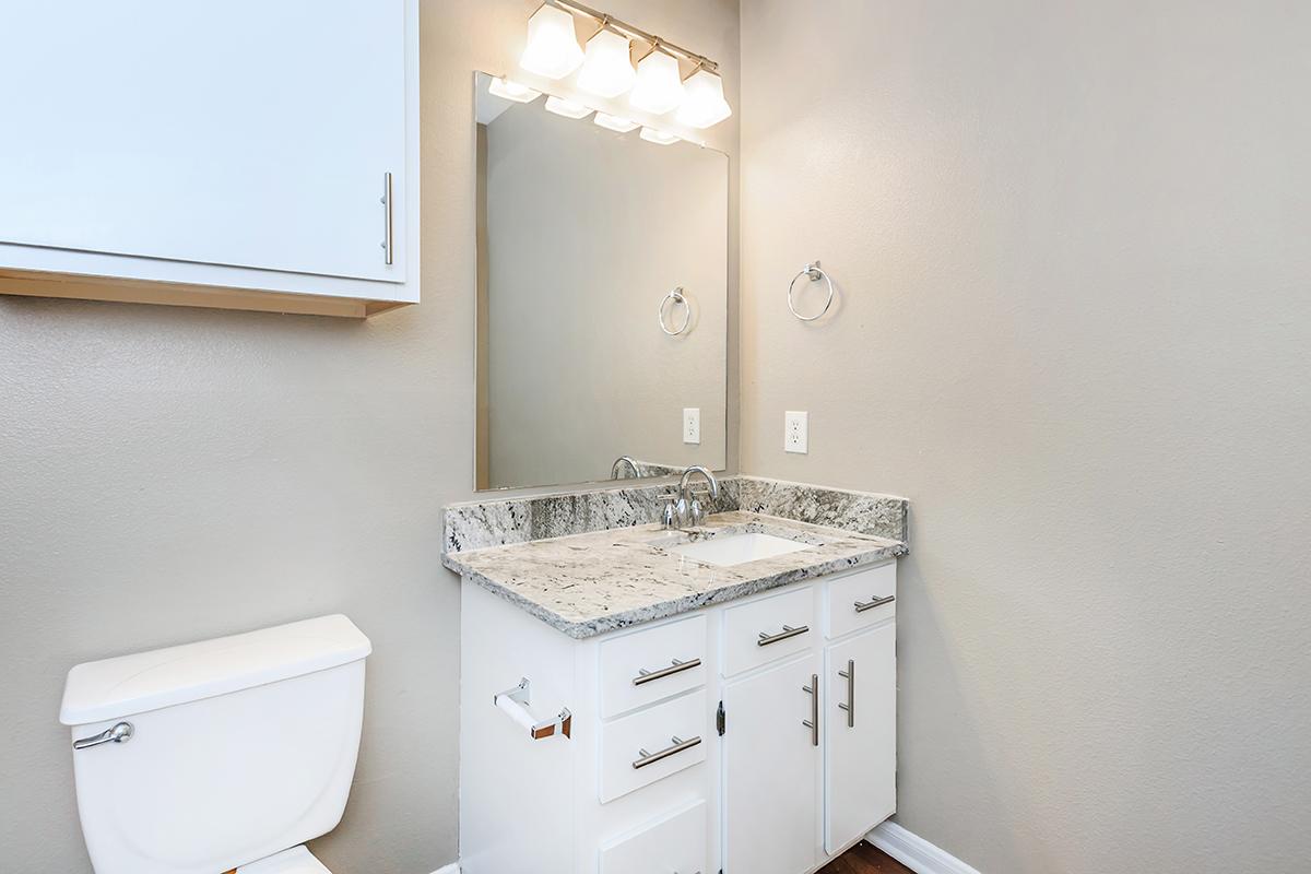 A modern bathroom featuring a white vanity with a granite countertop and a sink, a large mirror above, a wall-mounted light fixture with three bulbs, a towel ring, and a white toilet. The walls are painted in a neutral gray color, and the flooring appears to be dark wood.