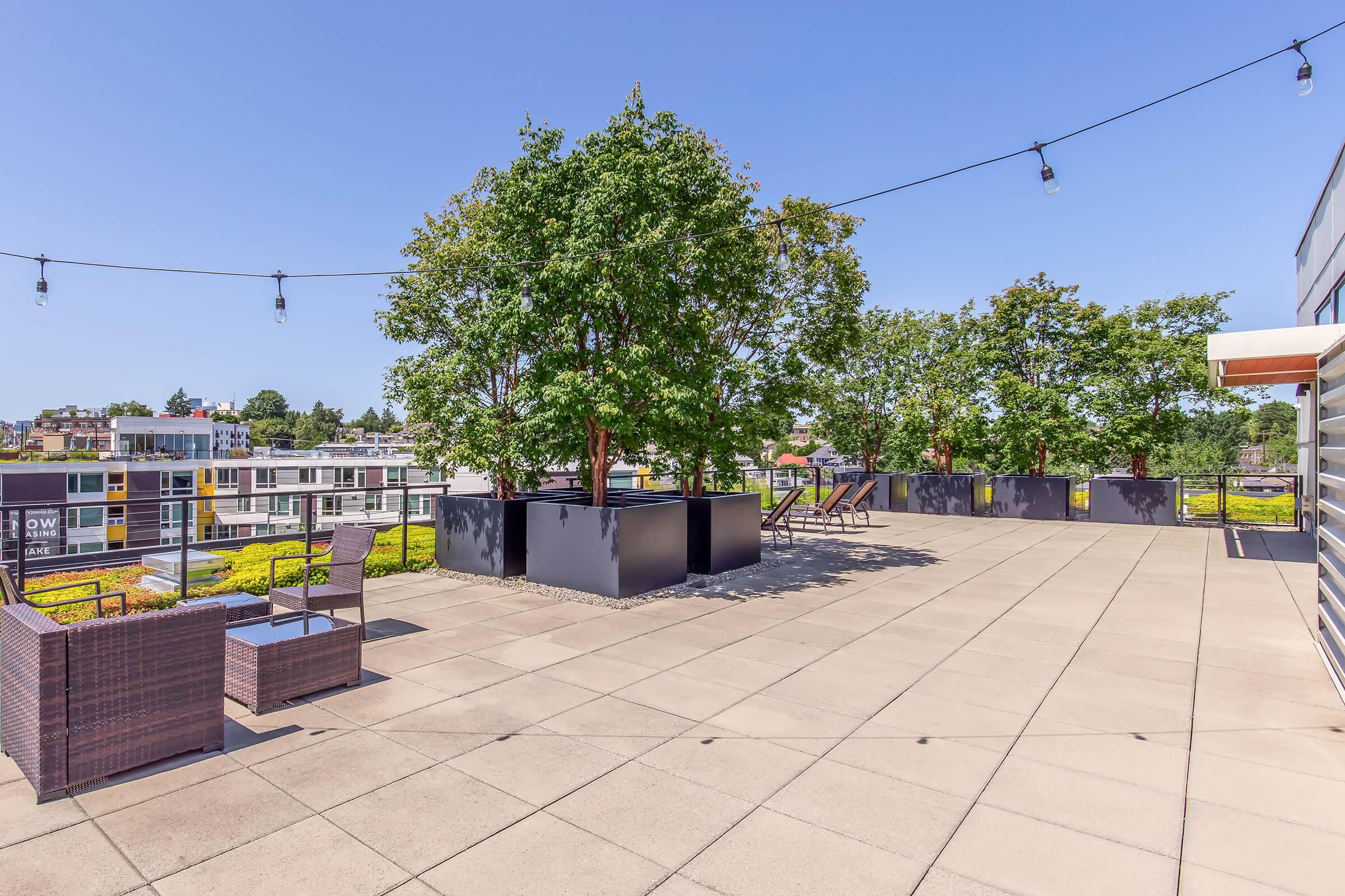 Rooftop terrace featuring a spacious outdoor area with two large trees, potted plants, and contemporary seating arrangements. The space is enhanced by string lights overhead and offers a clear blue sky backdrop, providing a relaxing urban retreat. Modern buildings can be seen in the distance.