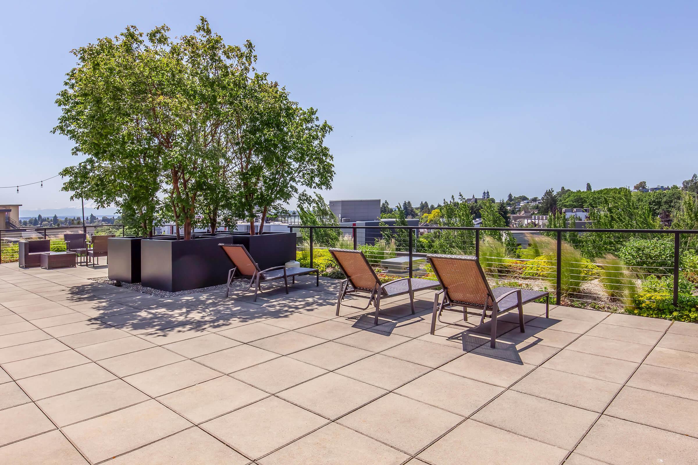 A spacious rooftop terrace featuring modern lounge chairs, potted trees, and a railing with a view of greenery and buildings in the background. The area is designed for relaxation, with an open sky and ample sunlight, creating a serene outdoor space.