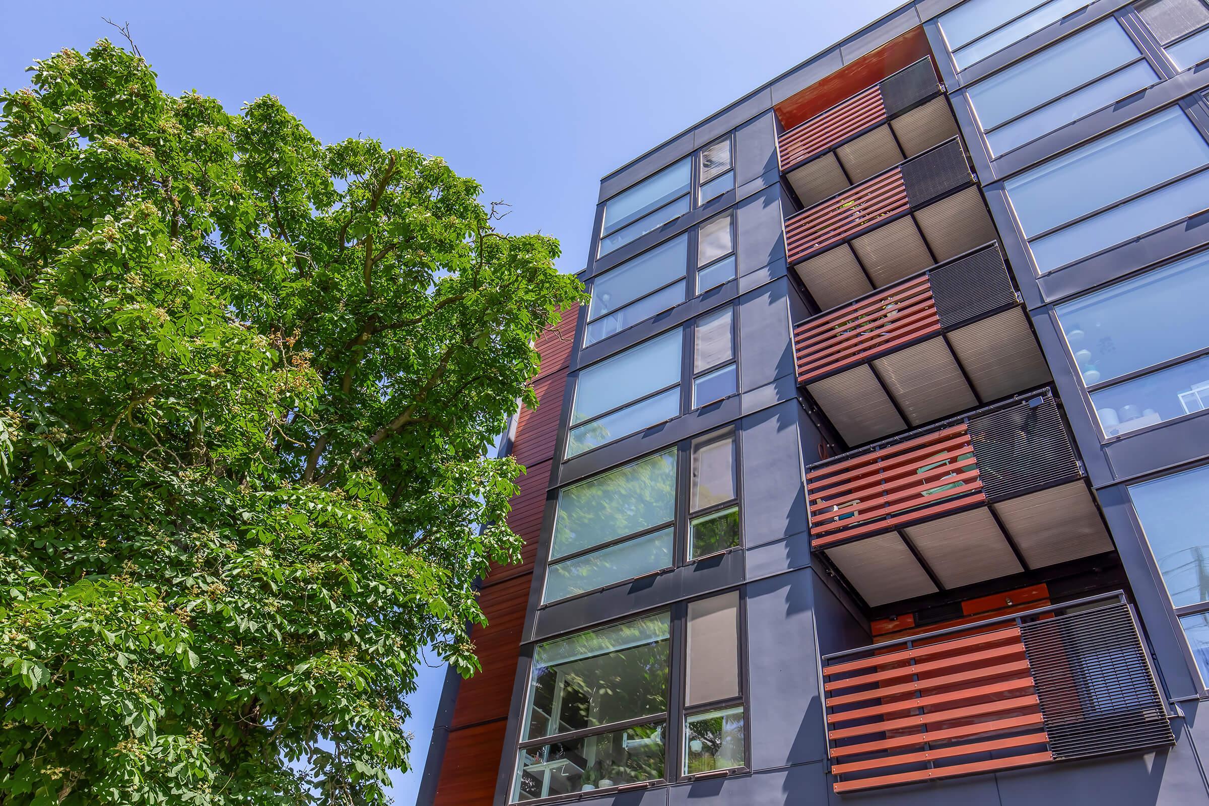 Modern multi-story building with large glass windows and wooden accents, contrasted against a vibrant green tree on the left. The architecture features a mix of materials, including metal and wood, creating a contemporary urban aesthetic under a clear blue sky.