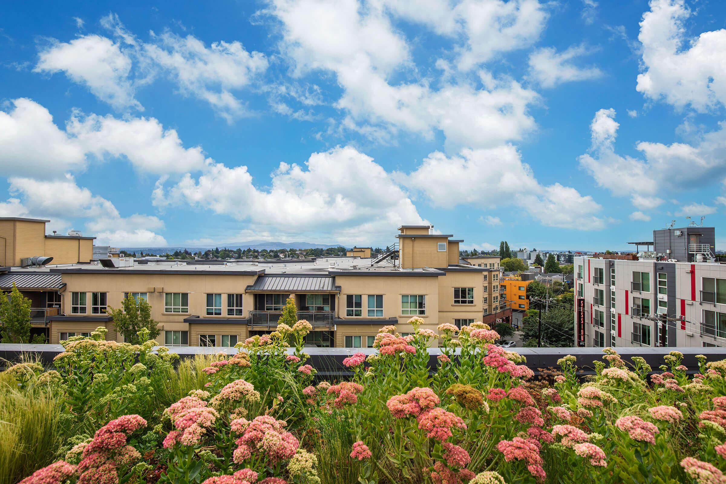 a close up of a flower garden in front of a building