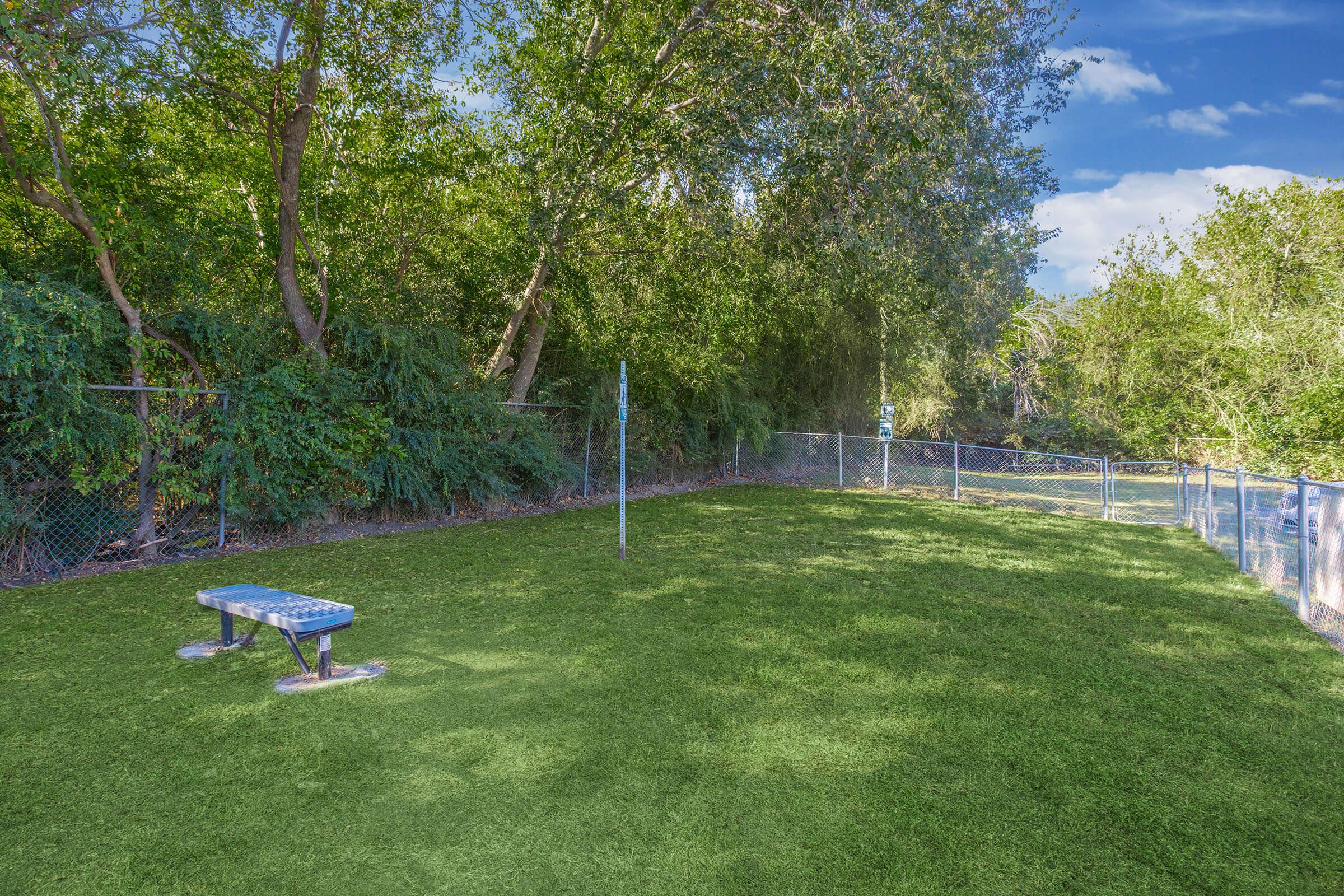 A grassy area enclosed by a chain-link fence with trees in the background. There is a blue bench and a tall pole in the center, indicating a recreational space. The sky is clear with some clouds, creating a bright, inviting atmosphere.