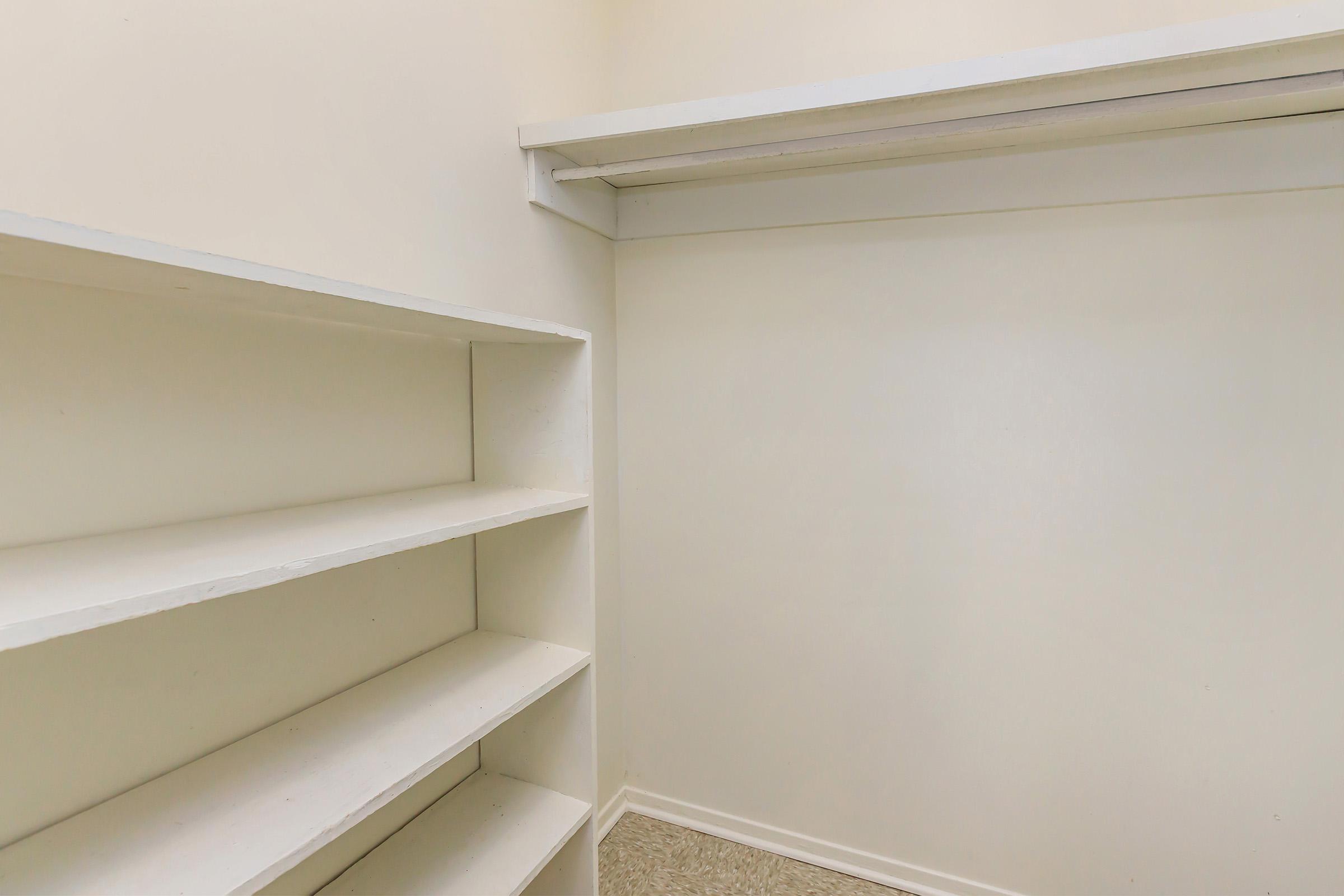 LARGE CLOSETS WITH EXTRA STORAGE SHELVES