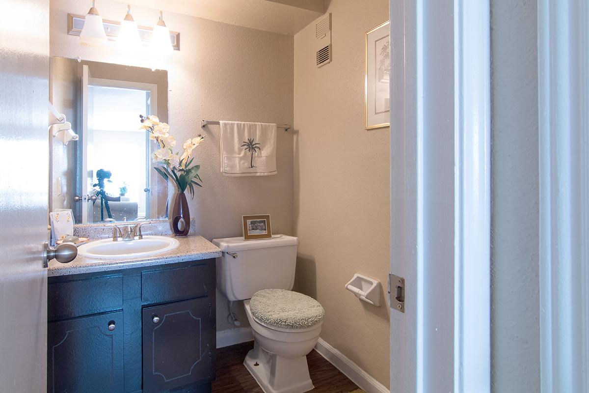 a white sink sitting under a mirror