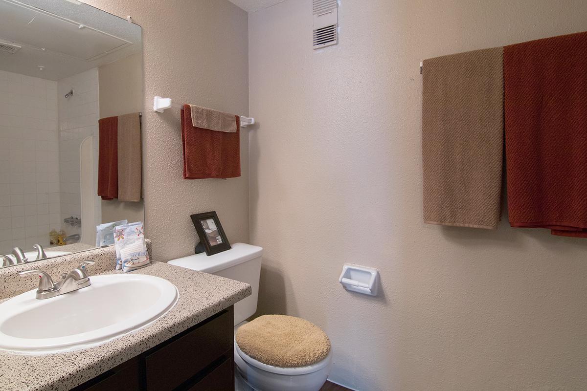 a white sink sitting under a mirror