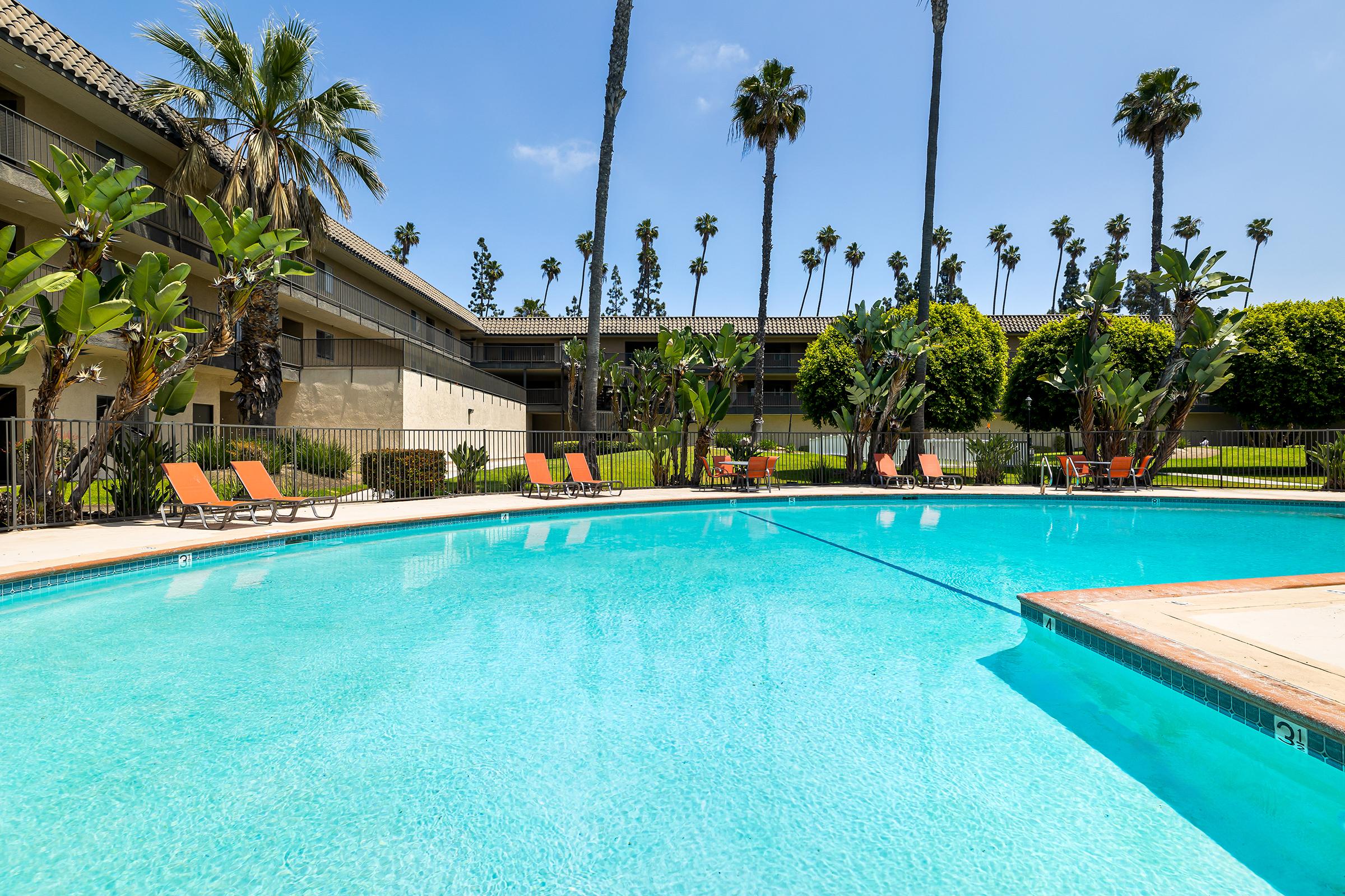 A bright, inviting outdoor pool surrounded by palm trees and lounge chairs. The water is clear and blue, reflecting the sunny sky. In the background, there are well-maintained green plants and the architecture of a nearby building. Ideal for relaxation and leisure activities.
