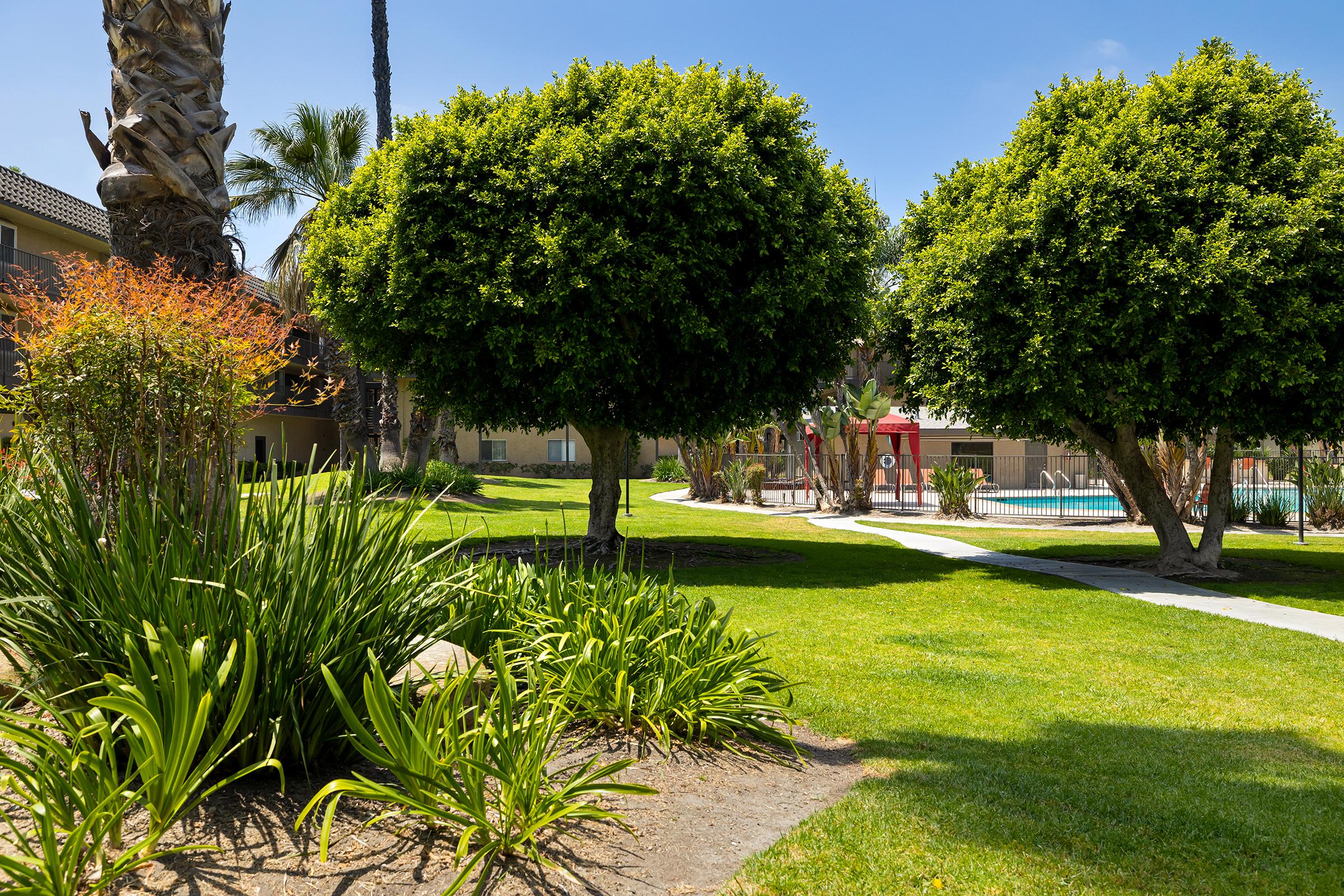 Lush green landscaping featuring two large rounded trees, vibrant shrubbery, and a well-maintained lawn. A winding pathway leads towards a swimming pool area in the background, with palm trees and bright blue skies adding to the tranquil outdoor setting.