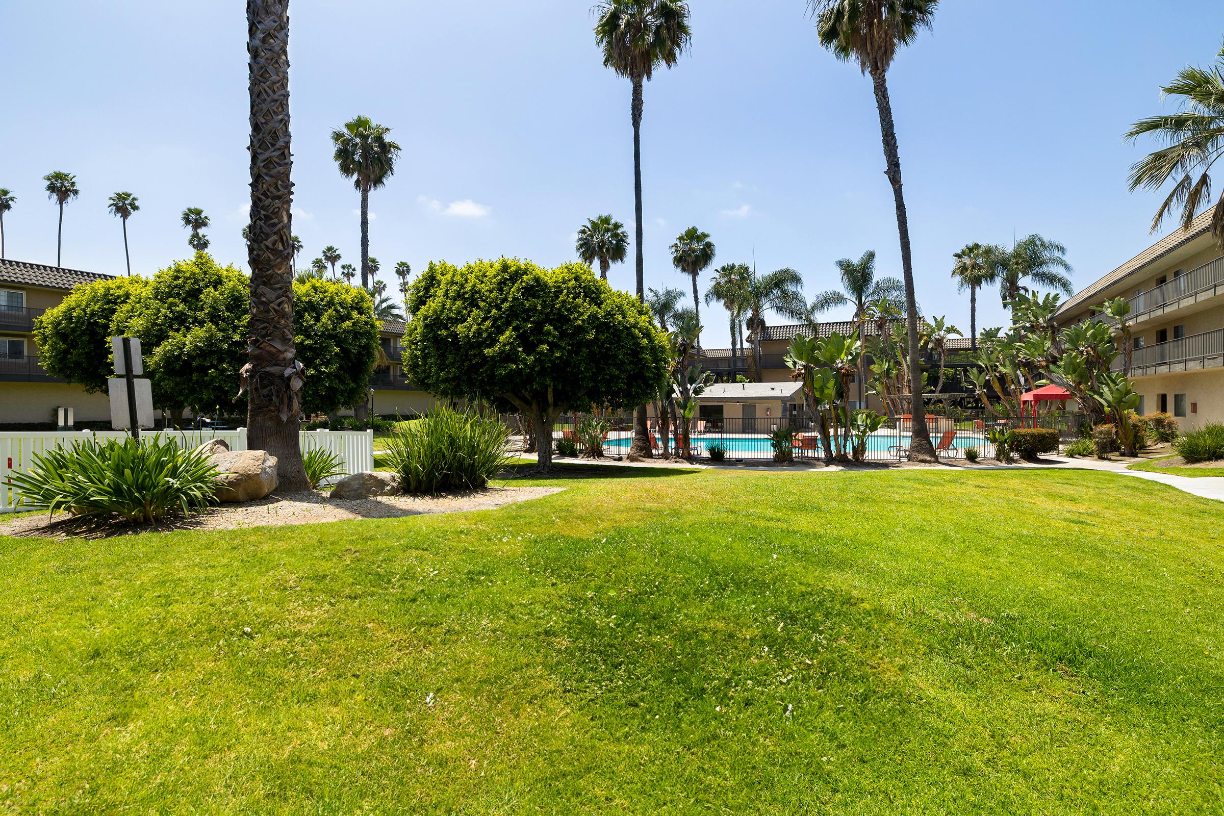 Lush green lawn with palm trees and manicured shrubs surrounding a swimming pool area. A few lounge chairs and umbrellas are visible by the pool, with buildings in the background under a clear blue sky. Bright and sunny atmosphere, ideal for relaxation.