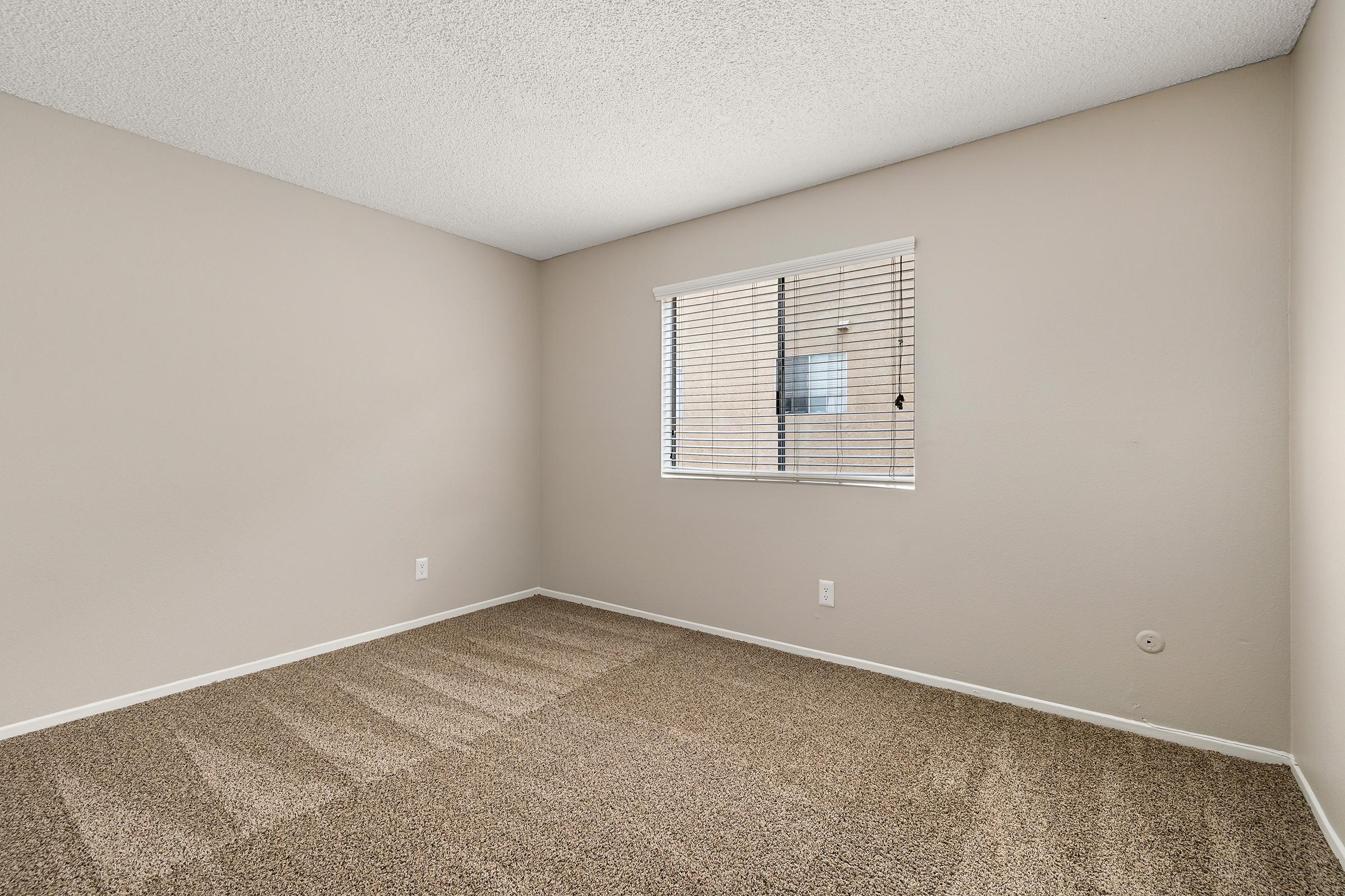 Empty room with beige walls and carpet. White window with blinds allowing light in, casting shadows on the floor. No furniture or decorations present, creating a spacious and minimalistic atmosphere.