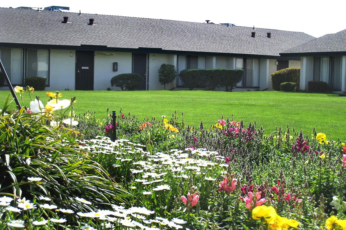 a close up of a flower garden in front of a house