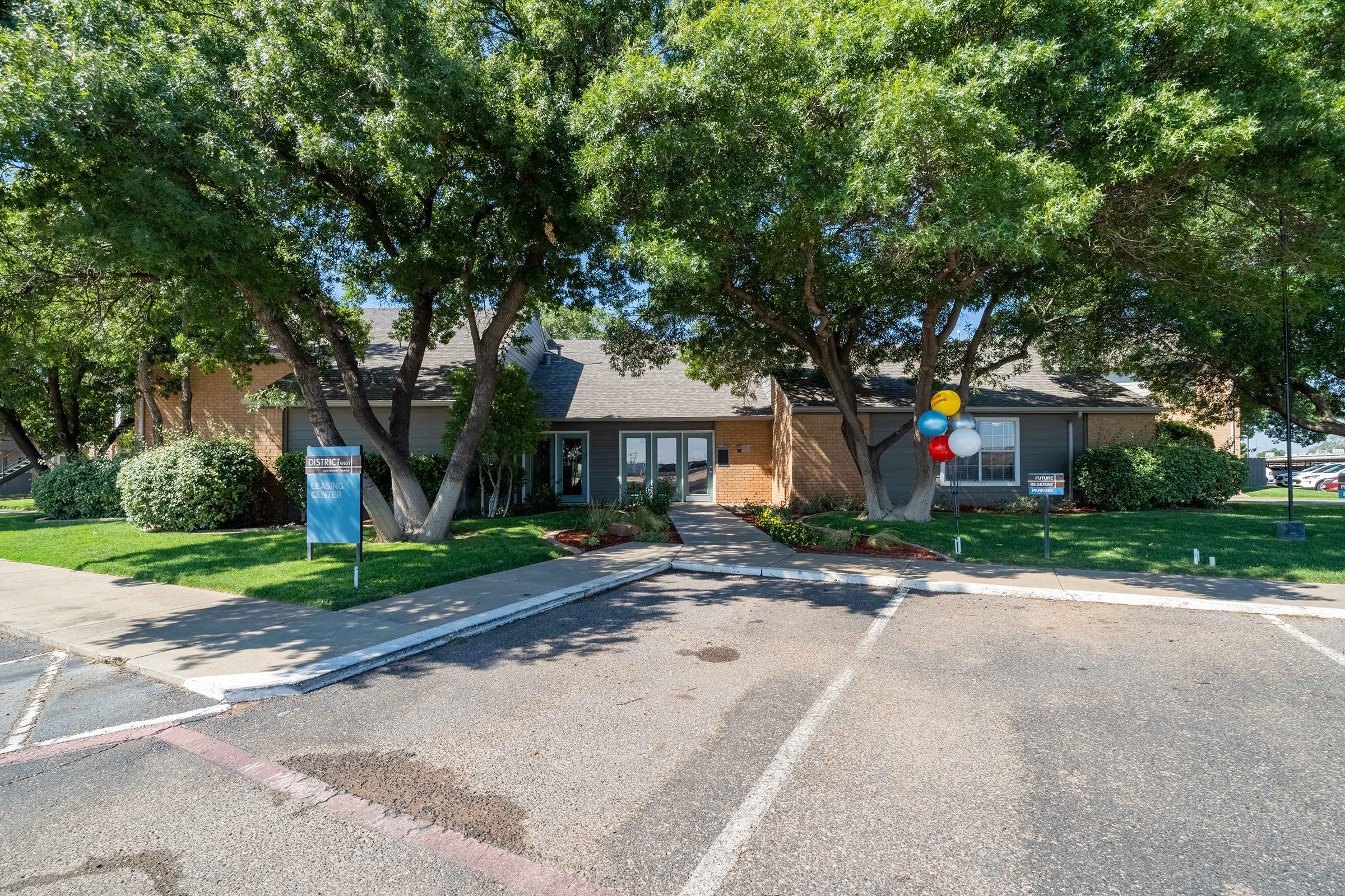 an empty street next to a tree