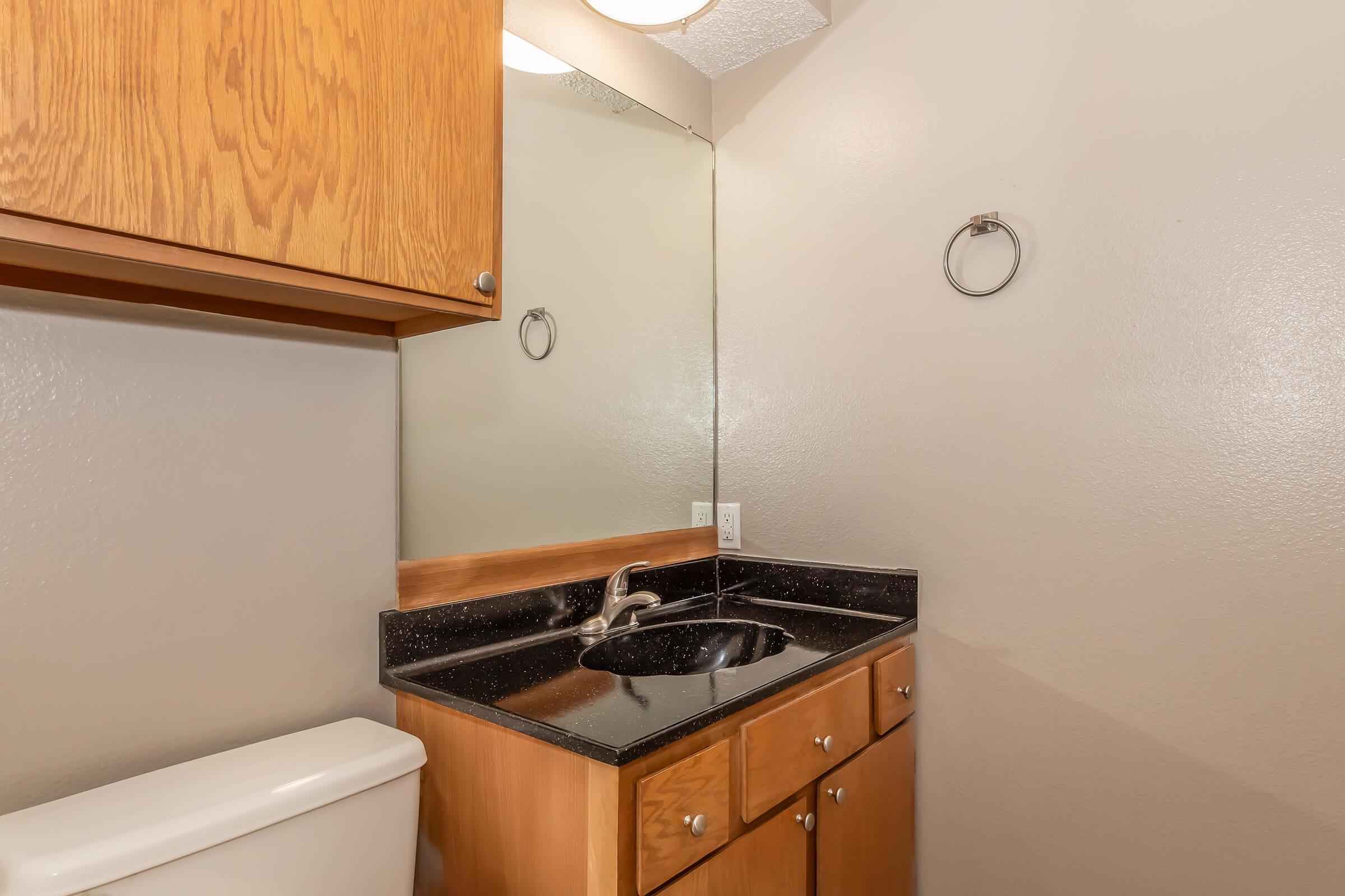 A small bathroom featuring a black countertop sink with a mirror above it. The cabinetry is made of light wood, and there is a towel ring on the wall. A white toilet is visible to the left. The walls have a light, neutral paint color.