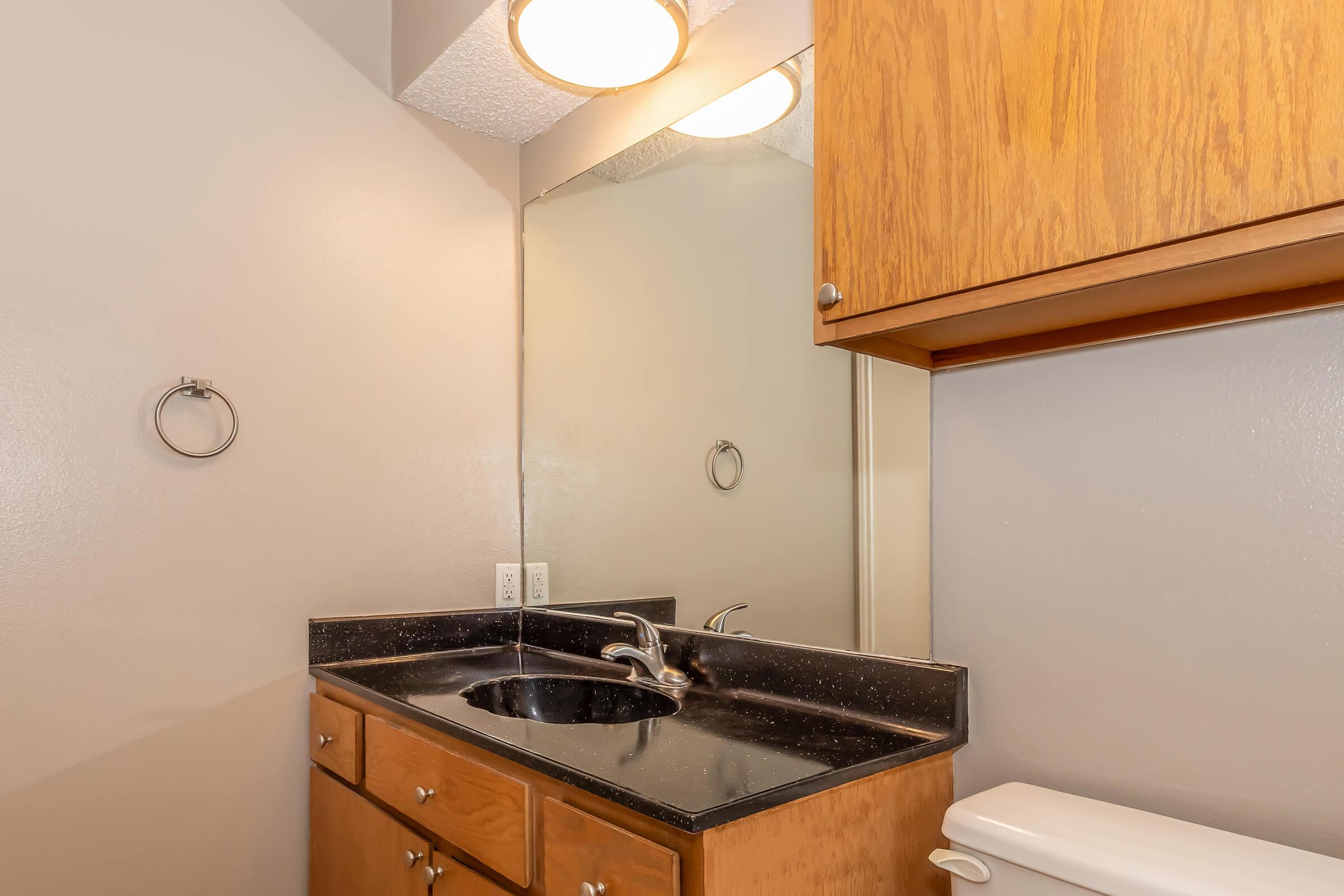 A small bathroom featuring a dark countertop with a sink, wooden cabinetry above and below, a large mirror, and a towel ring on the wall. The walls are painted in a light color, and a white toilet is positioned next to the sink area.