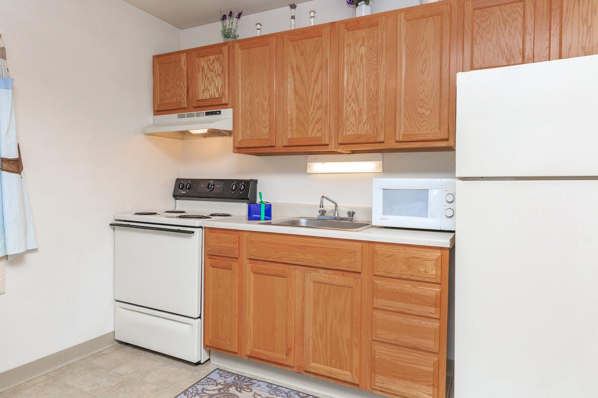 a kitchen with a stove sink and refrigerator