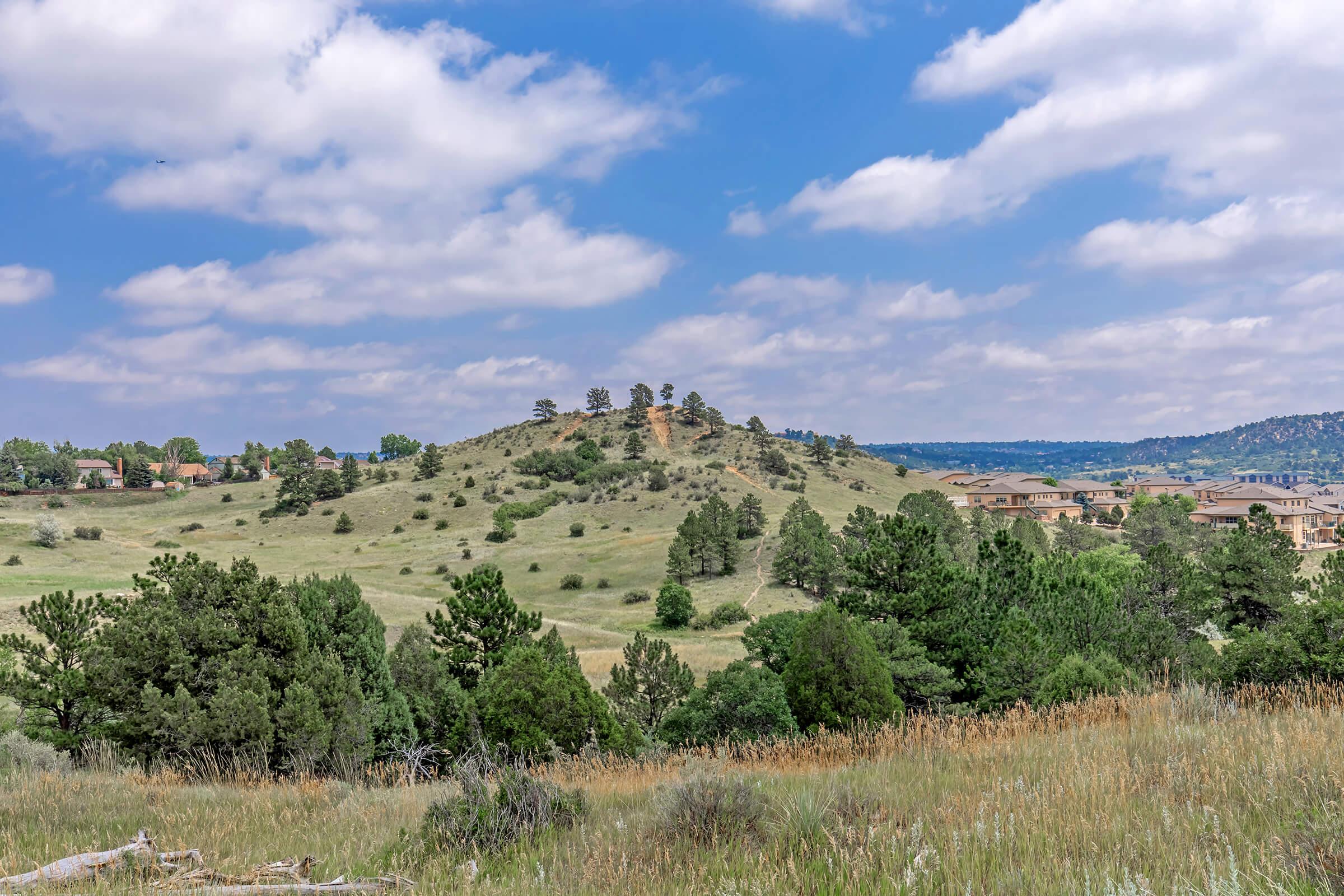 A panoramic view of rolling hills with pine trees, under a partially cloudy sky. In the foreground, tall grasses and shrubs are visible, while houses can be seen in the distance, nestled among the hills. The landscape showcases a mix of greenery and open fields, typical of a natural outdoor setting.