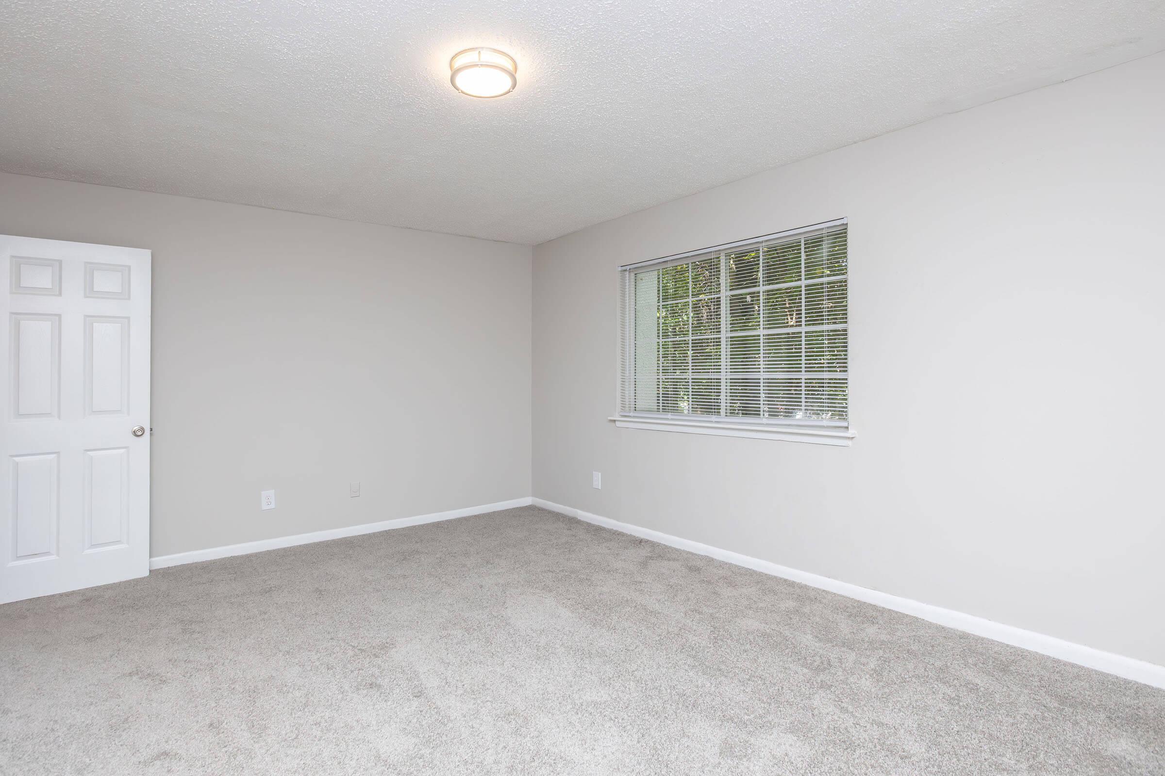 A spacious, empty room with light gray walls and plush, light-colored carpeting. There is a window with blinds on one wall, allowing natural light to enter, and a white door on the opposite wall. The ceiling features a simple light fixture, creating a warm, inviting atmosphere.