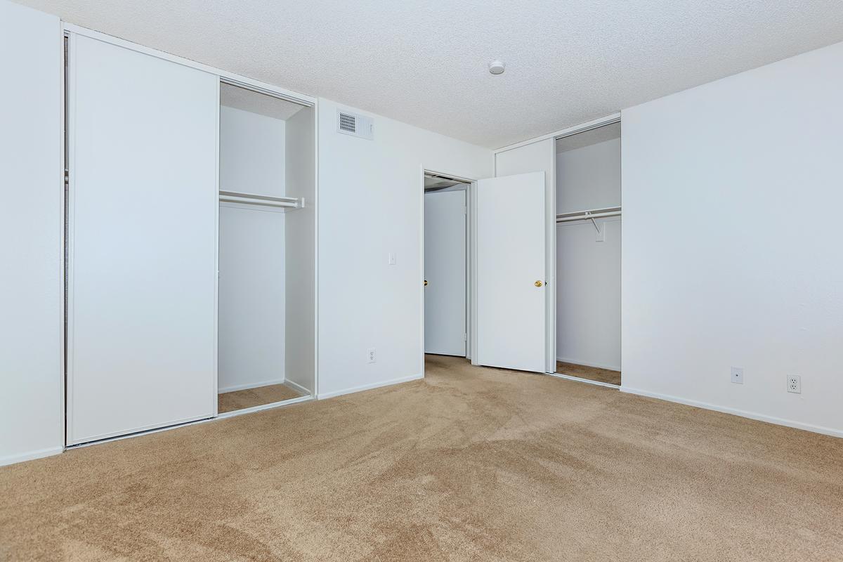 Carpeted bedroom with two closets