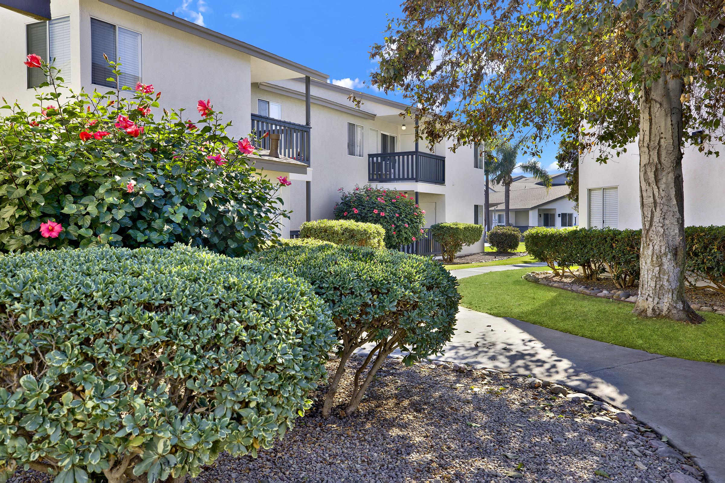 a close up of a flower garden in front of a building