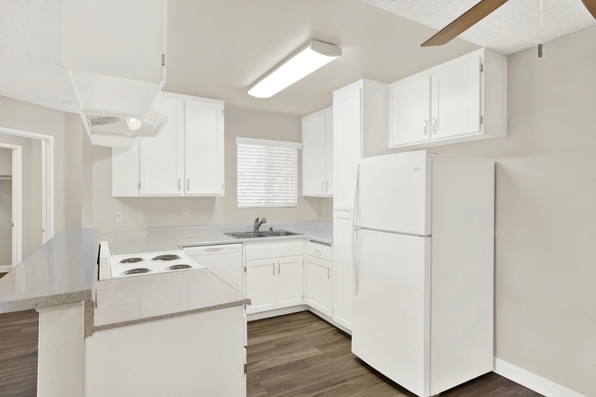 a kitchen with a stove and a refrigerator