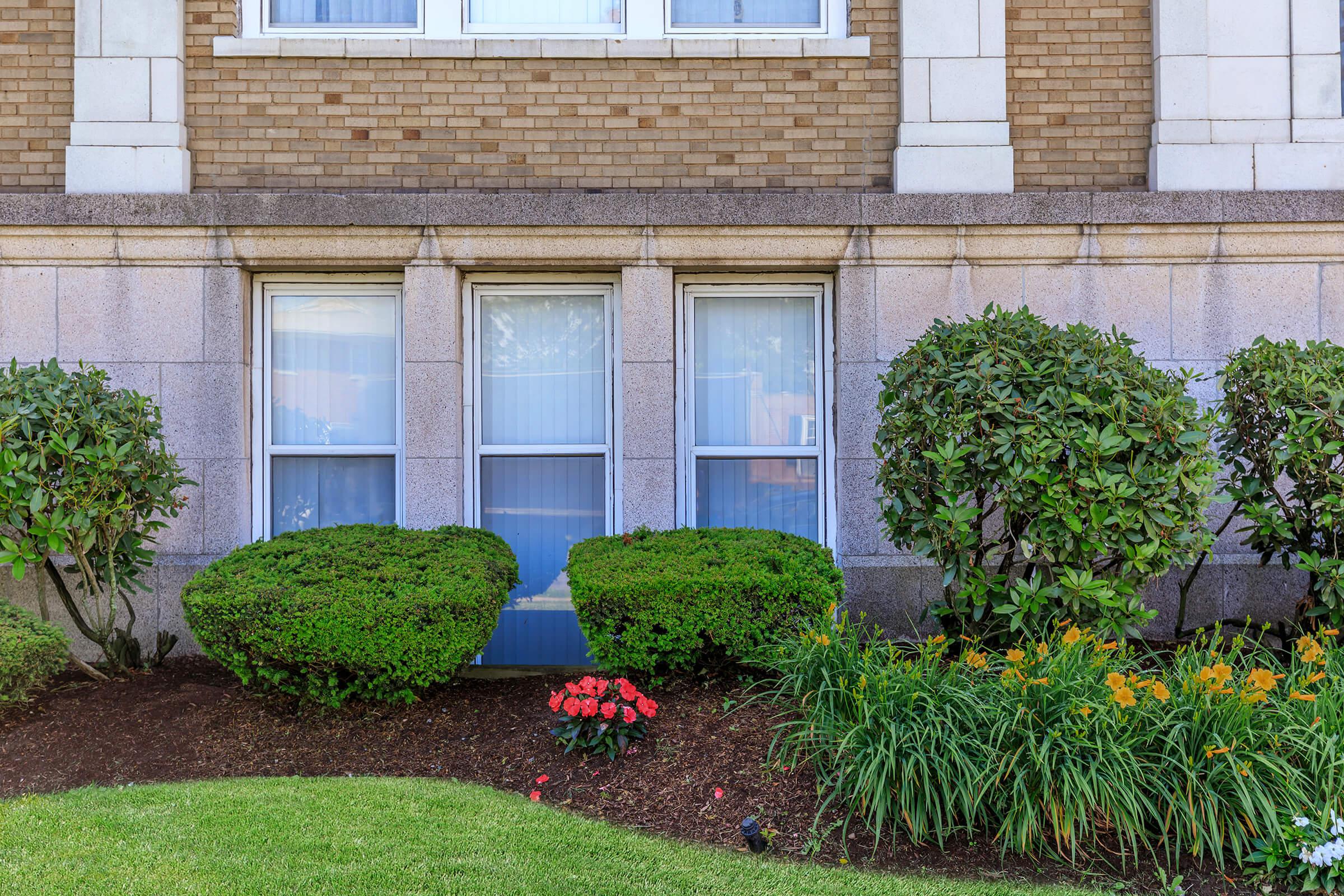 a close up of a flower garden in front of a building