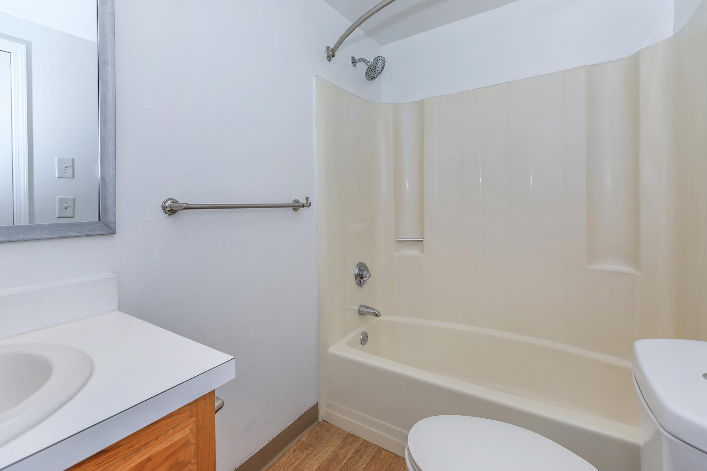 a shower that has a sink and a mirror