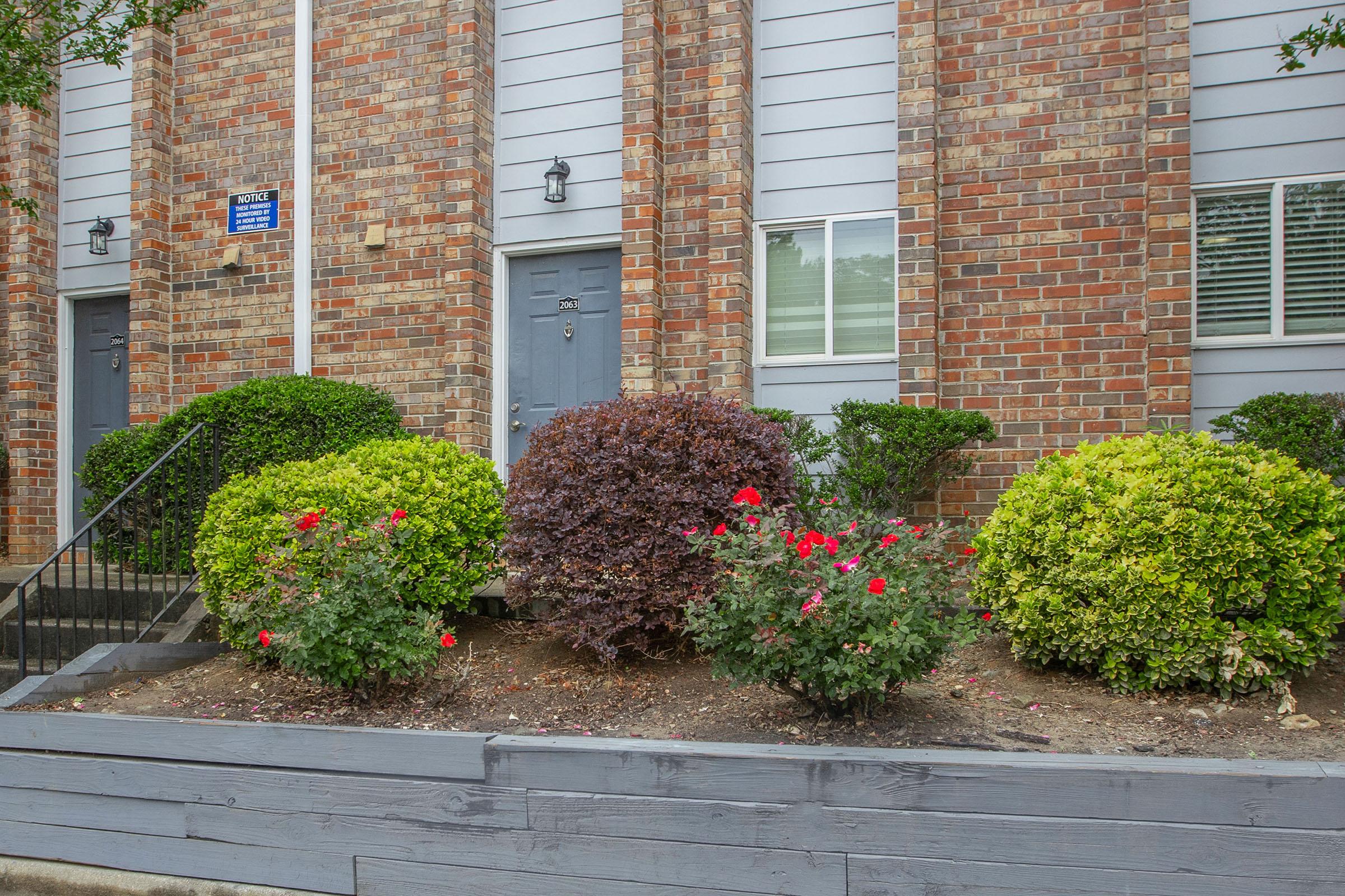 a close up of a flower garden in front of a brick building