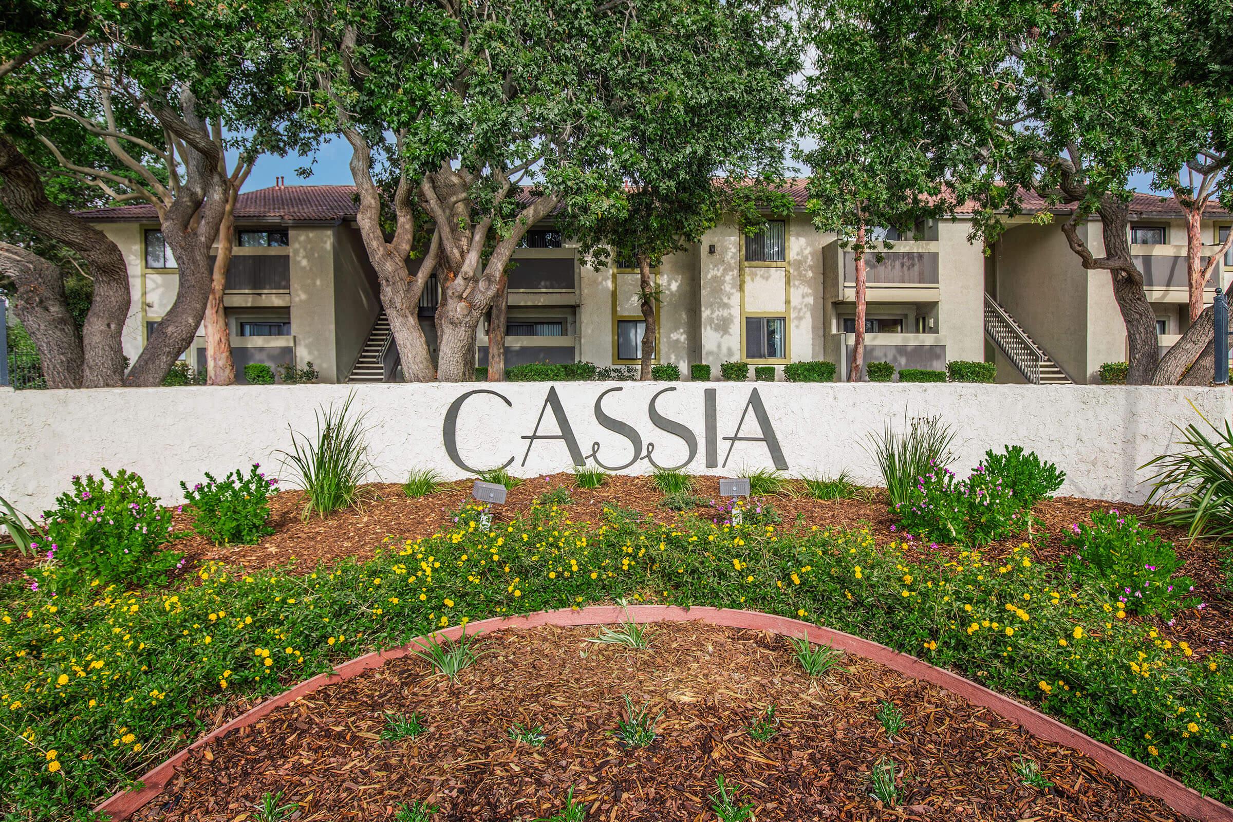 a close up of a flower garden in front of a building