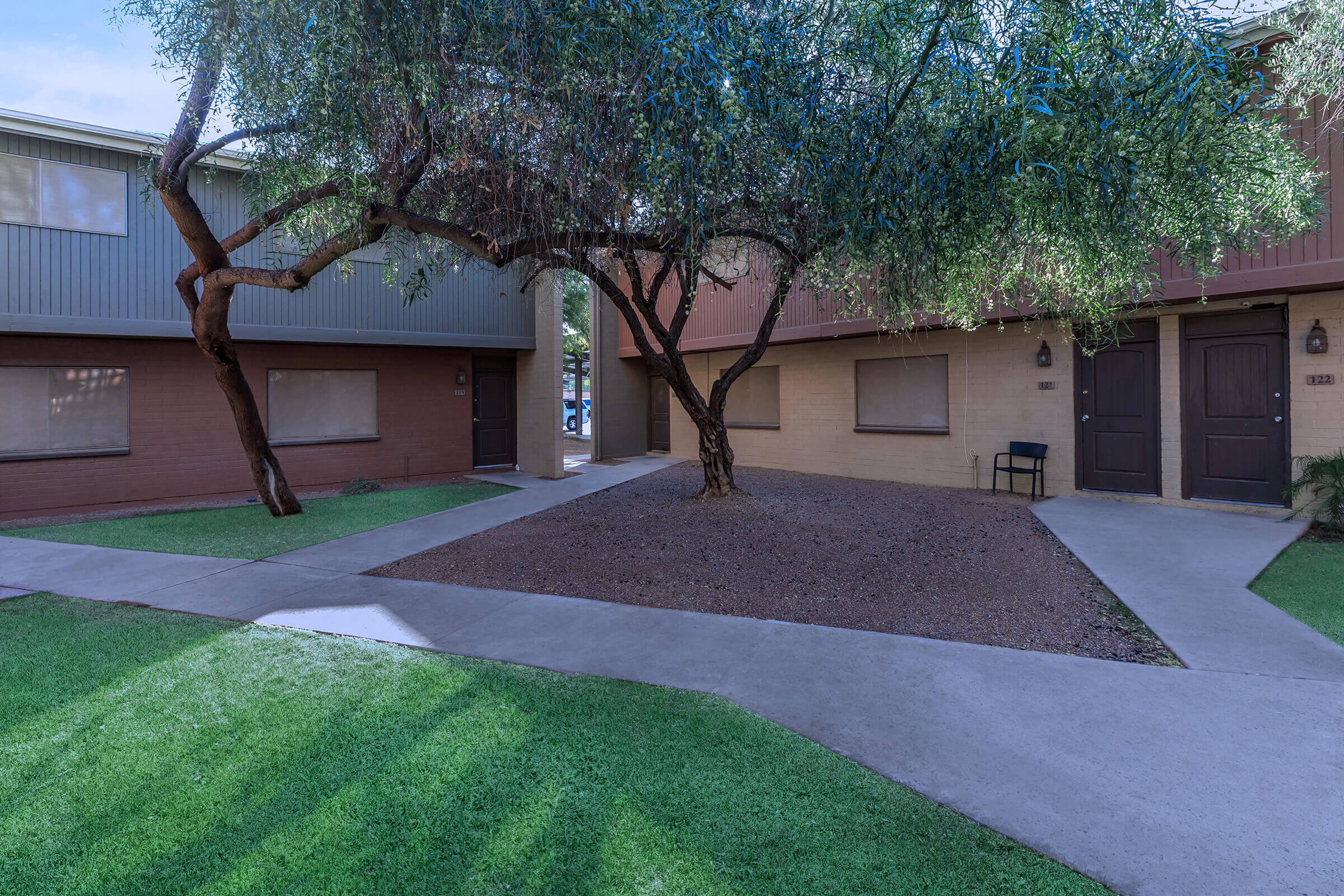 a tree in front of a house