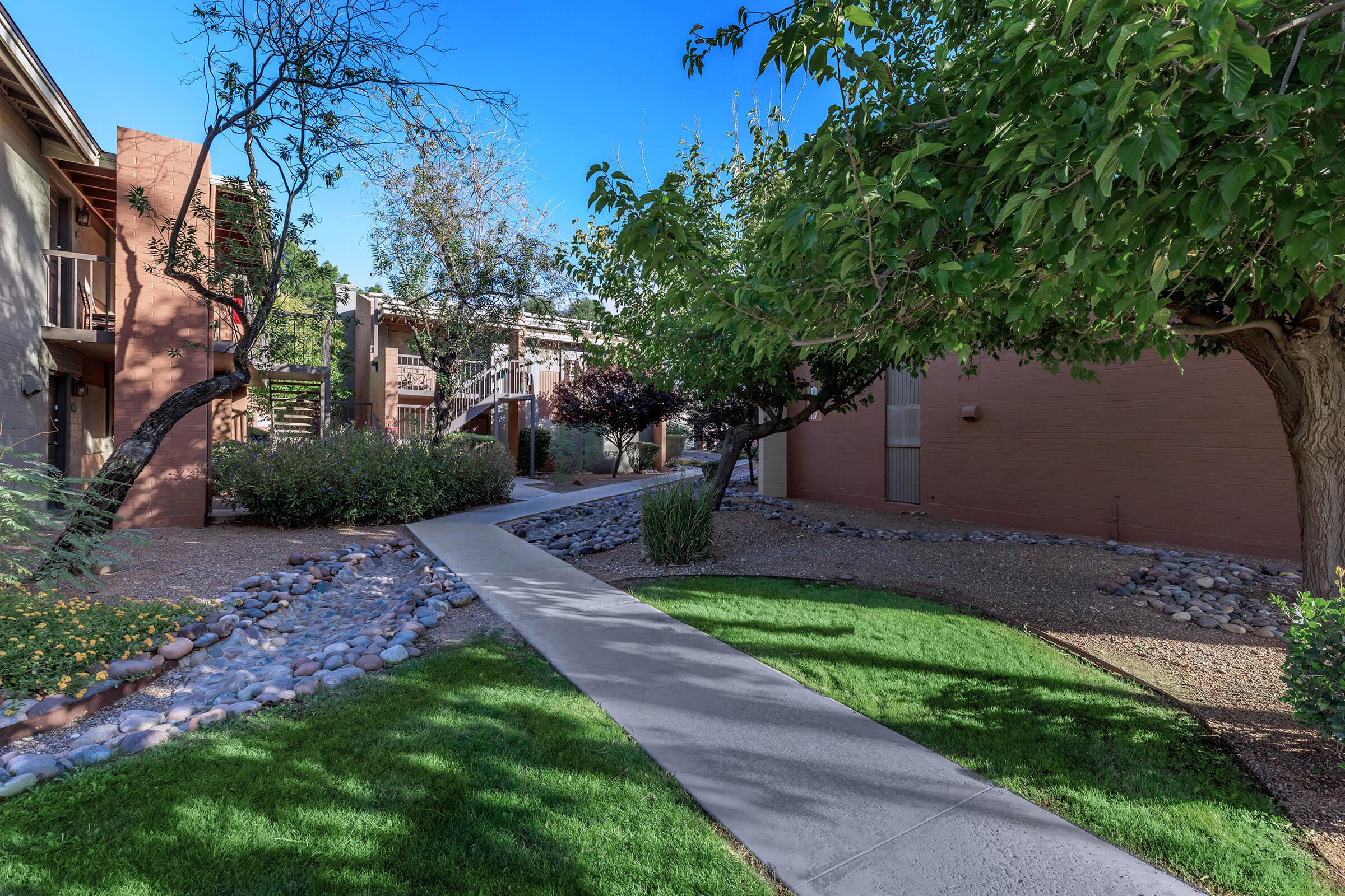 a path with trees on the side of a building