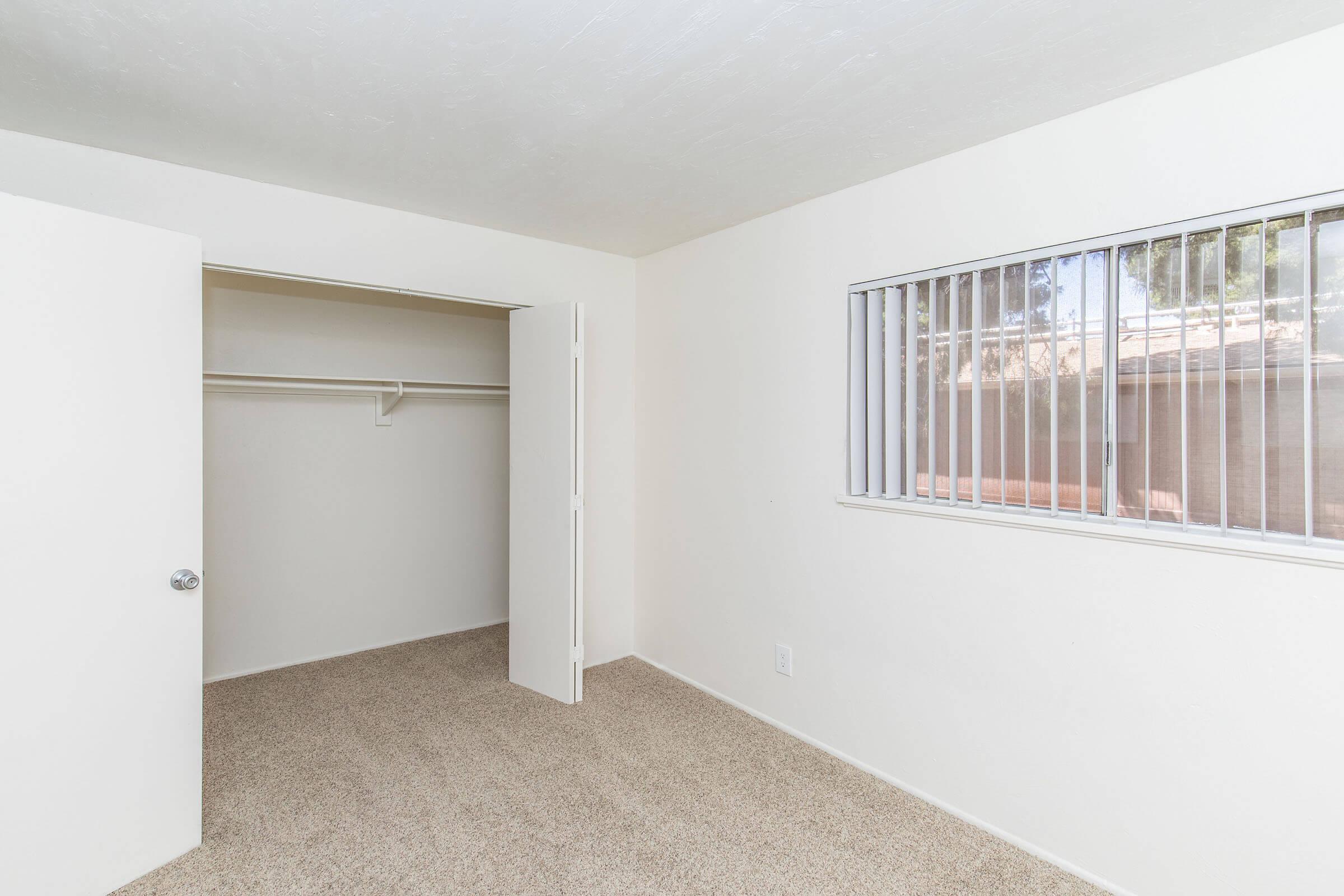 Empty room with beige carpet and white walls. There is an open closet on the left with no doors and a window on the right featuring vertical blinds, allowing natural light into the space. The room appears neutral and unoccupied, suitable for various uses.