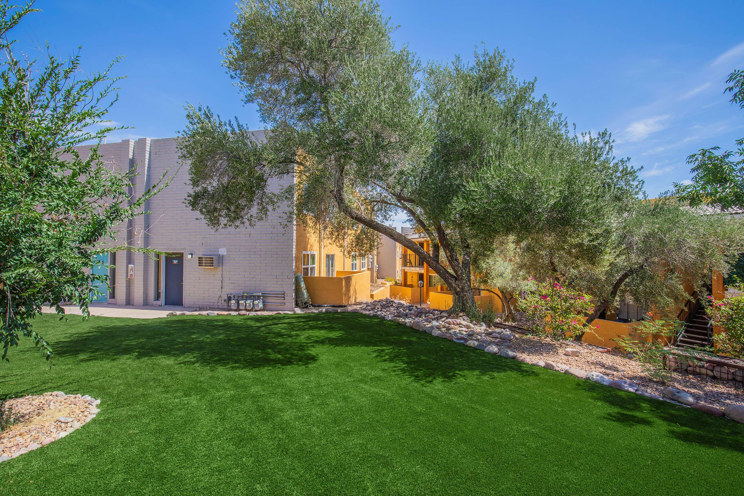A lush green lawn with an olive tree, surrounded by colorful plants and rocks. In the background, there is a beige building with several air conditioning units visible. The sky is clear and blue, creating a bright, sunny atmosphere.