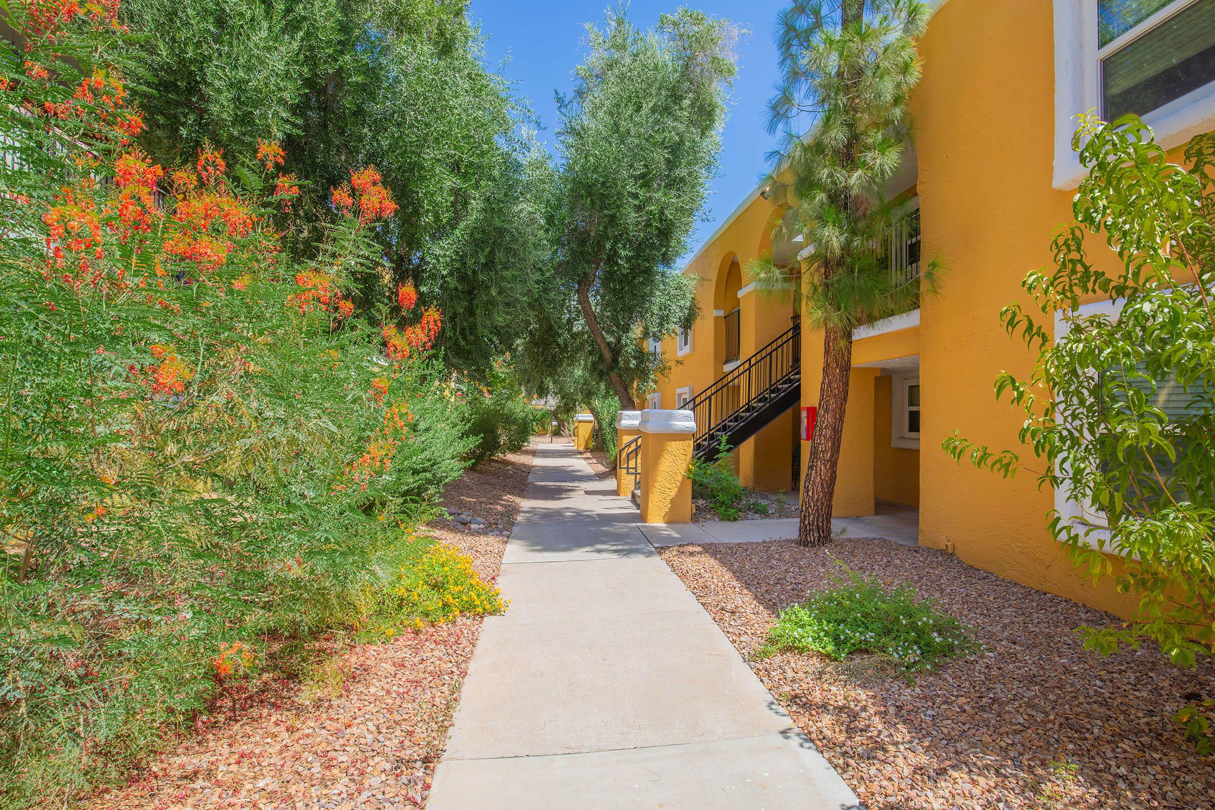 A sunlit pathway lined with colorful shrubs and trees leads to yellow apartment buildings. The scene features vibrant orange flowers, a well-maintained landscape, and clear blue skies, creating a welcoming and serene atmosphere.
