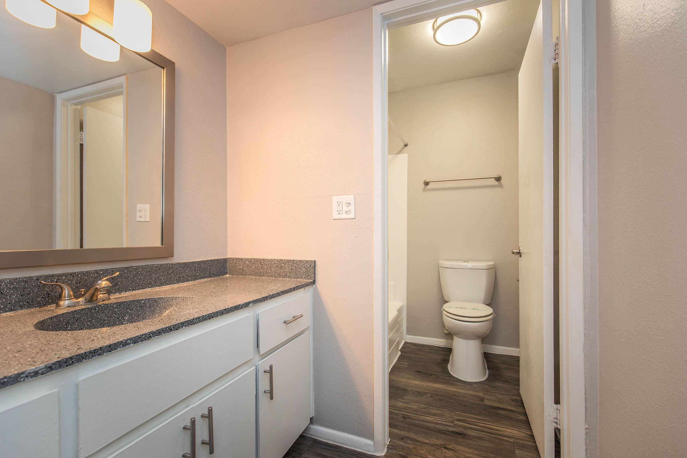 A modern bathroom featuring a countertop with a sink and mirror, light-colored walls, and a doorway leading to a separate toilet area. The flooring is dark wood, creating a contrast with the lighter tones of the room.