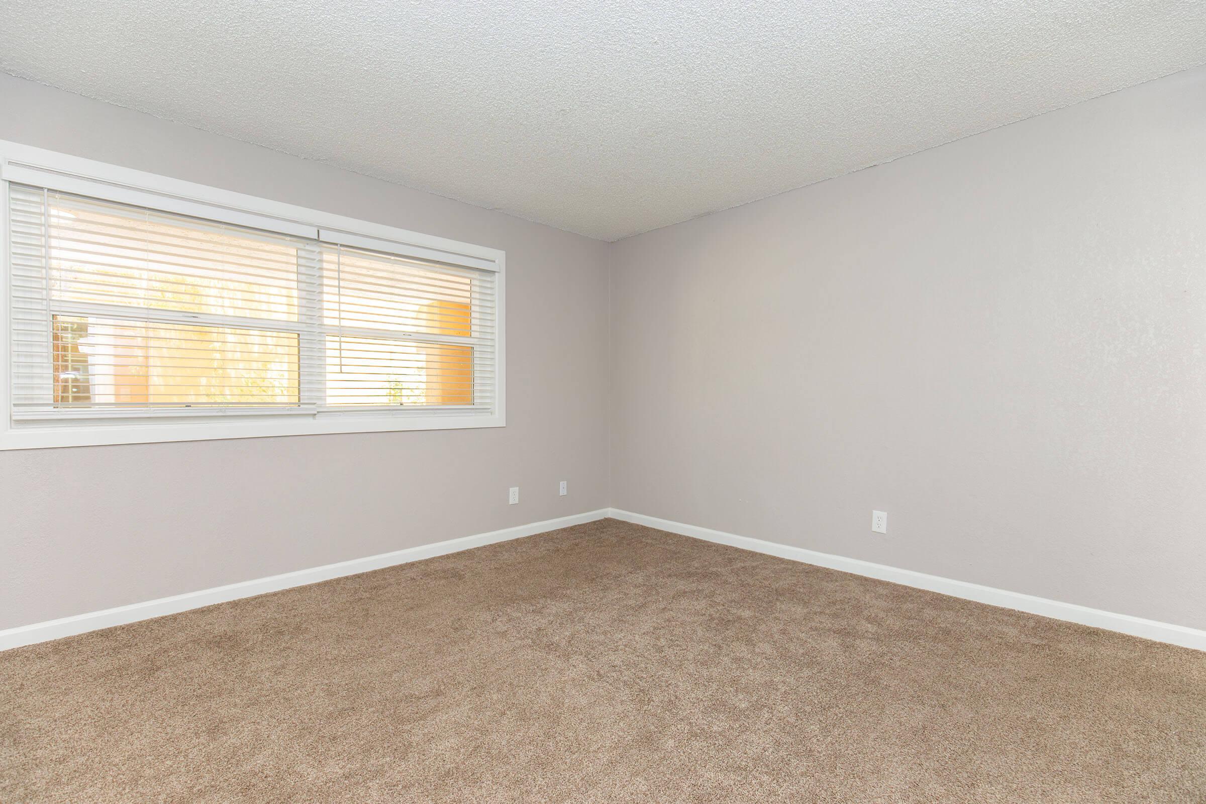 A vacant room with light gray walls, a textured ceiling, and a large window with white blinds. The floor is covered in beige carpeting, and there are no furniture or decorations present, creating an open and spacious feel.