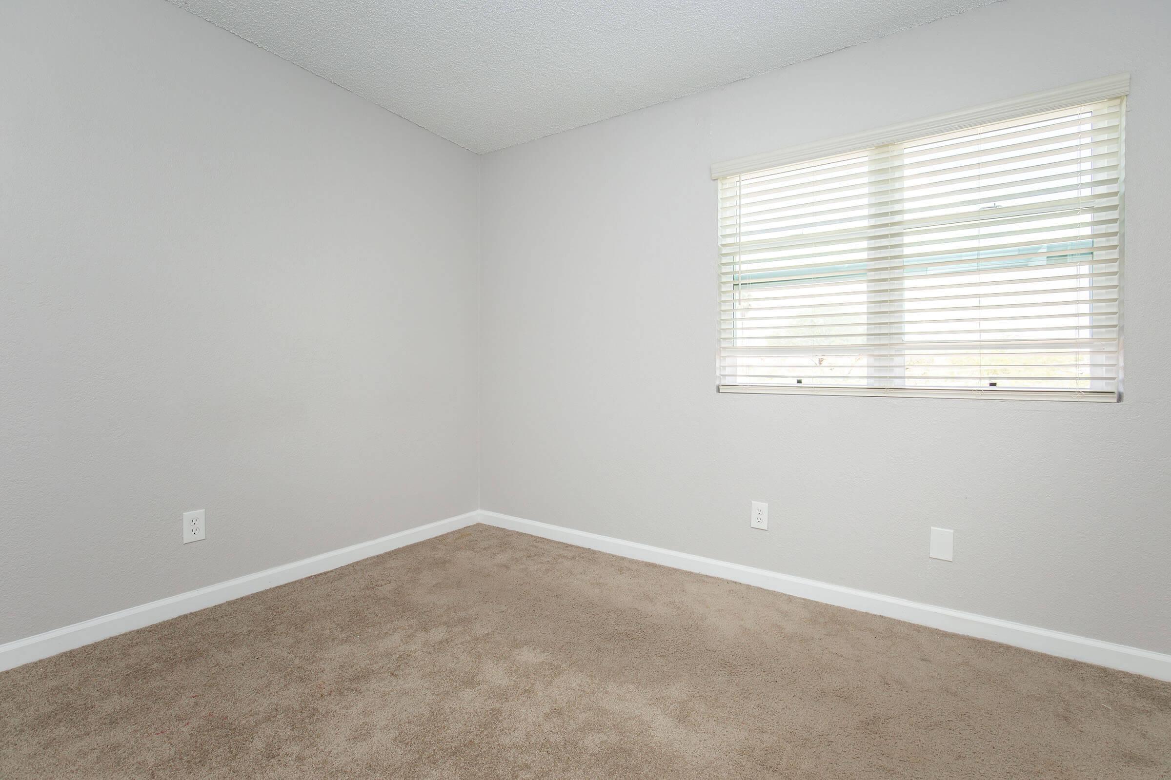 Empty room with beige carpet and light gray walls. A window with white blinds allows natural light to enter. The space has no furniture, creating a minimalistic and open atmosphere. Two electrical outlets are visible on the walls.