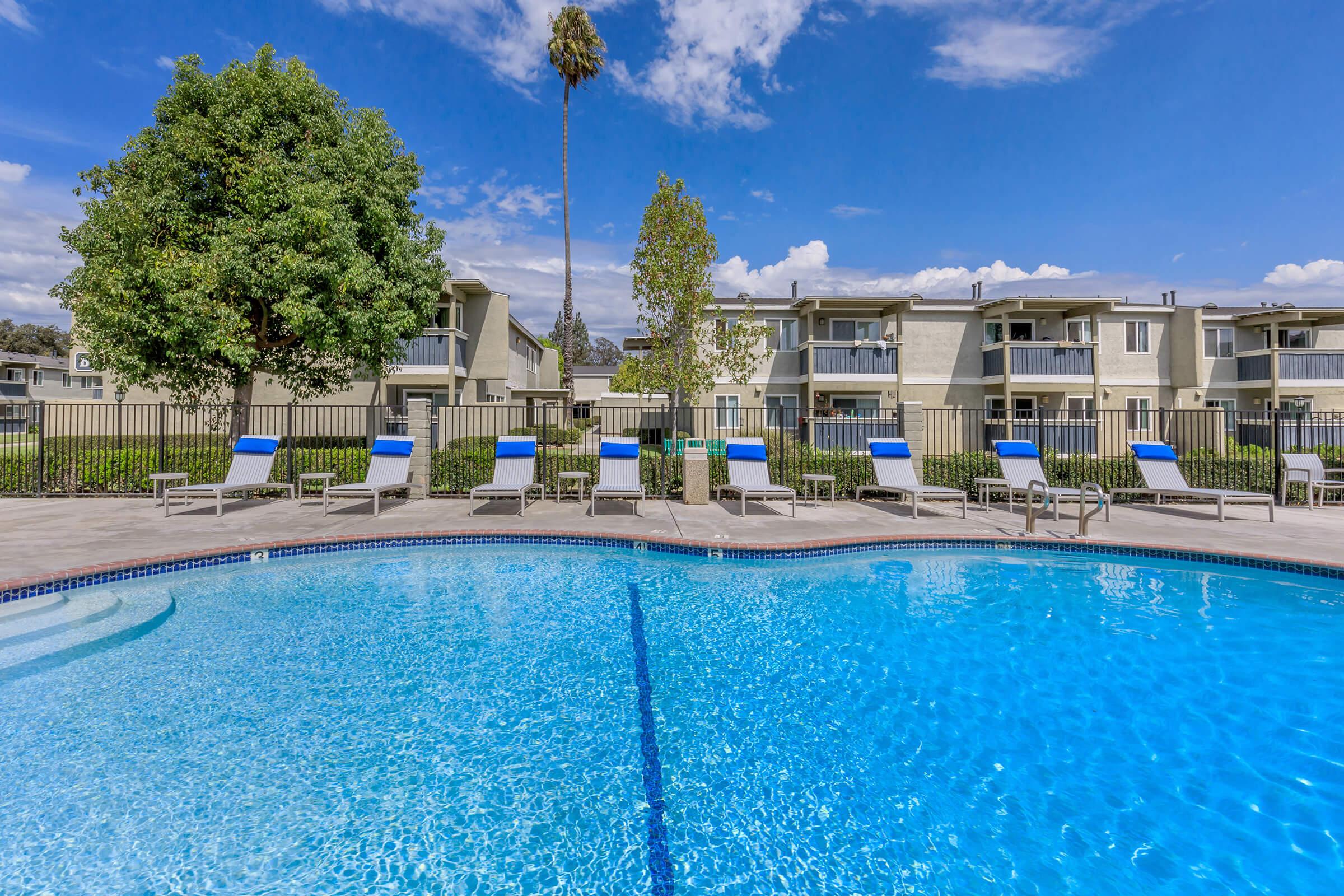A clear blue swimming pool surrounded by lounge chairs, with a palm tree in the background. Apartment buildings are visible in the distance under a bright blue sky with some clouds. The area is well-maintained with greenery along the poolside.