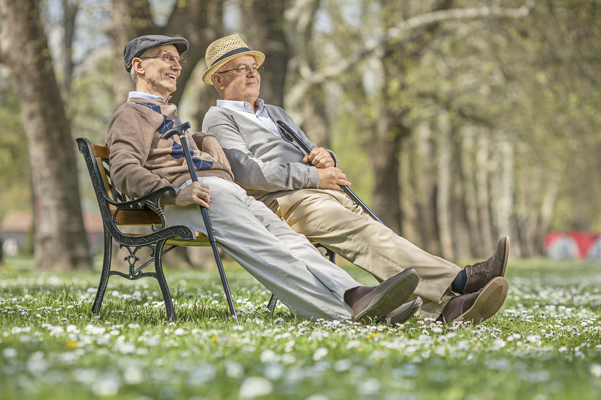 a man sitting on a bench in a park