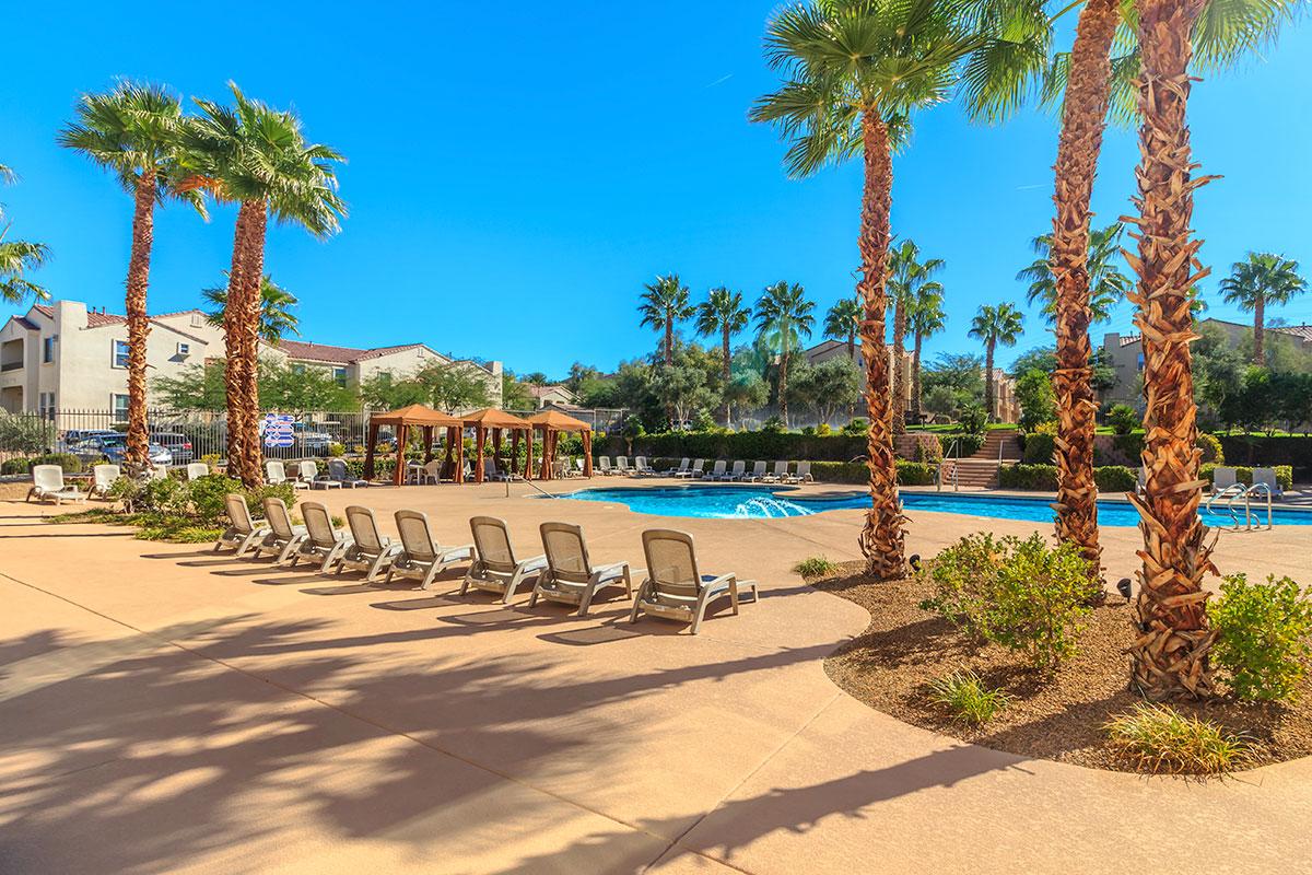 a group of palm trees on a beach