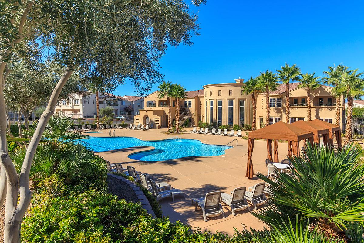 a pool next to a palm tree