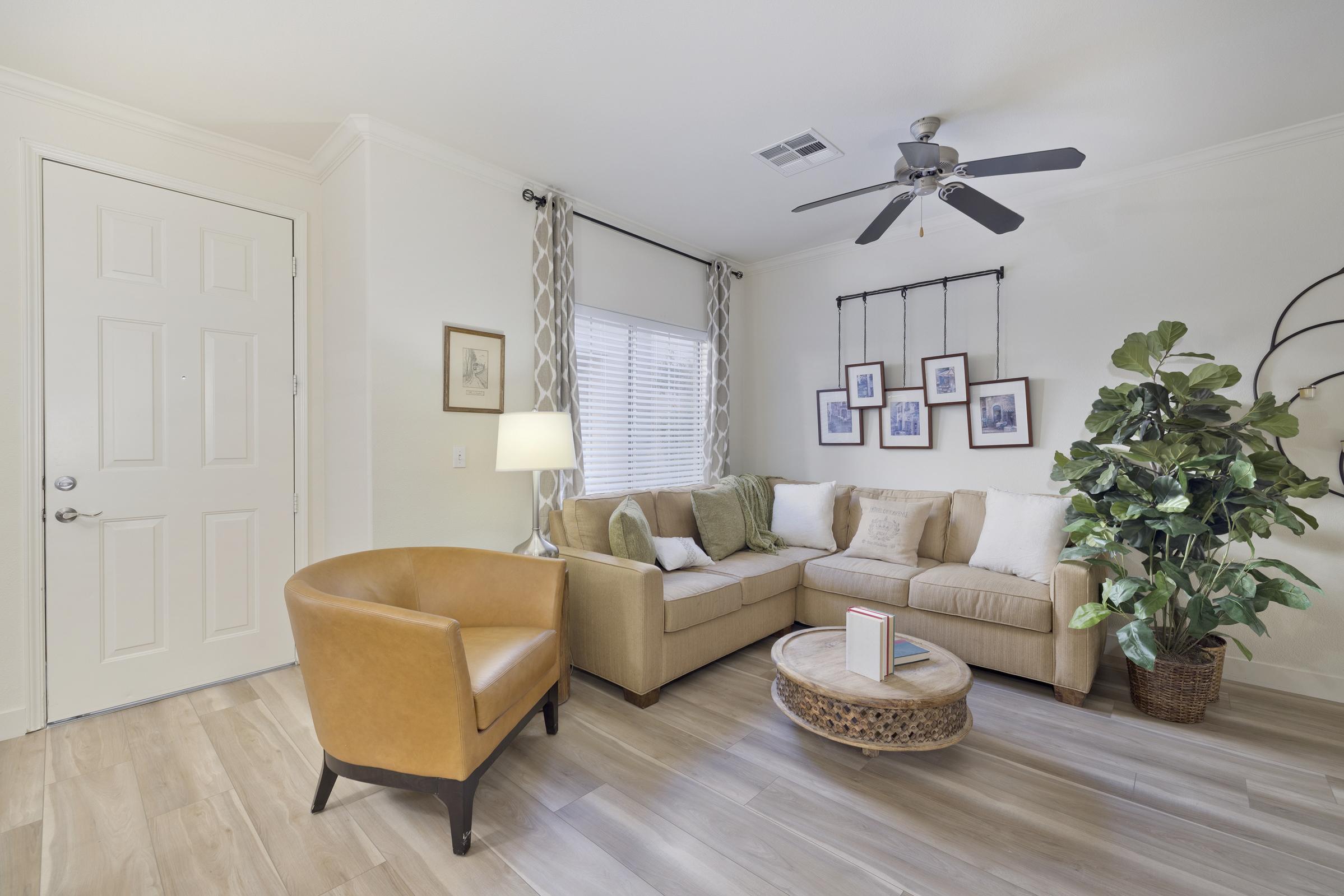 Cozy living room featuring a modern beige sectional sofa with decorative pillows, a round coffee table with a book, a single brown armchair, and a large indoor plant. Natural light filters through a window with light curtains, and there are framed photos on the wall, enhancing the inviting atmosphere.