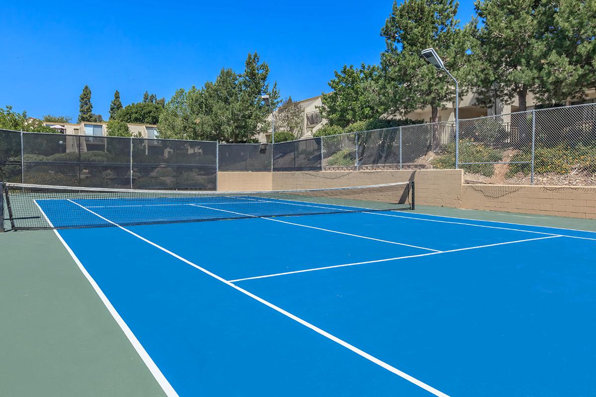 a person on a court with a racket