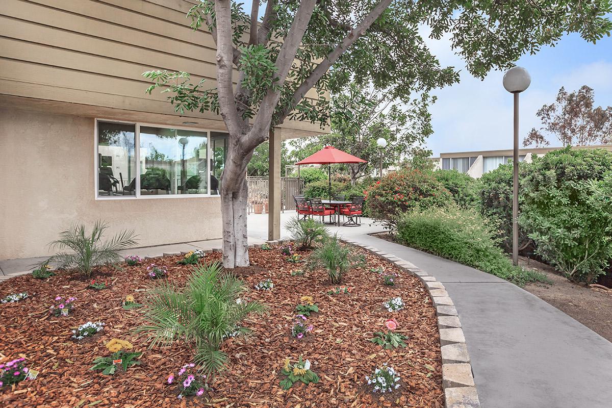 a garden in front of a building